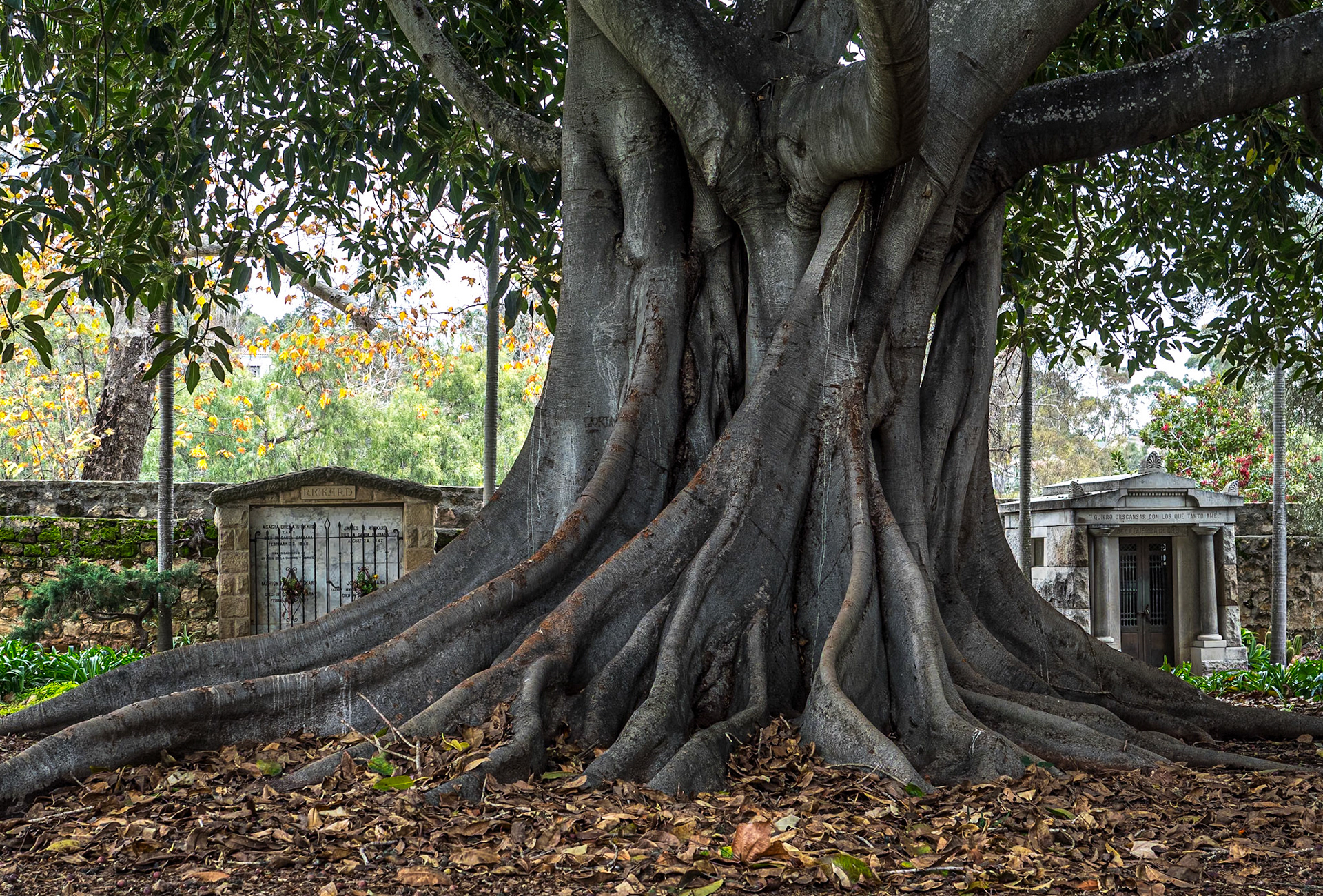 Old Mission Santa Barbara, California, 24 Jan 2024