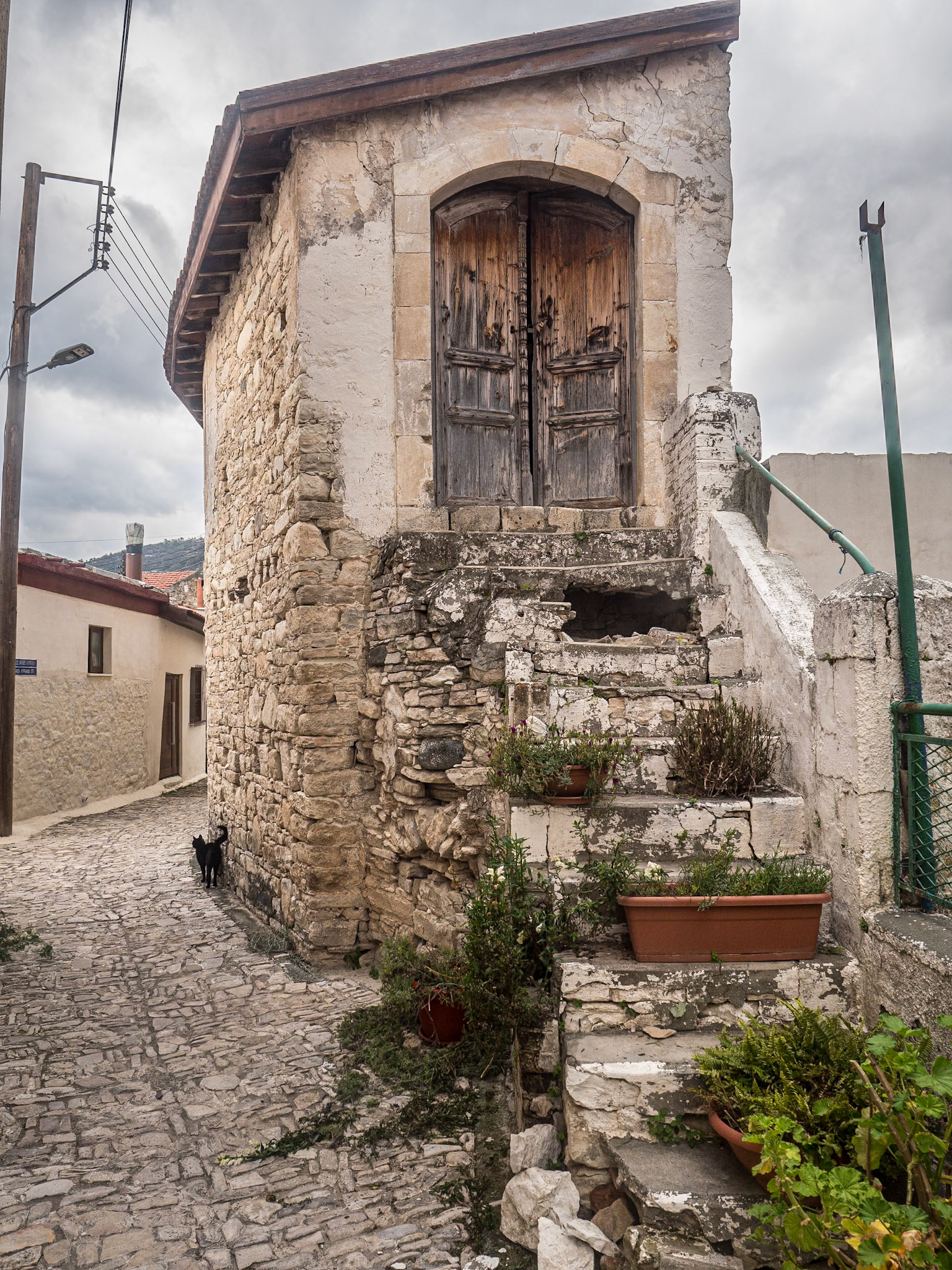 Dhoros, Cyprus, 22 Feb 2025