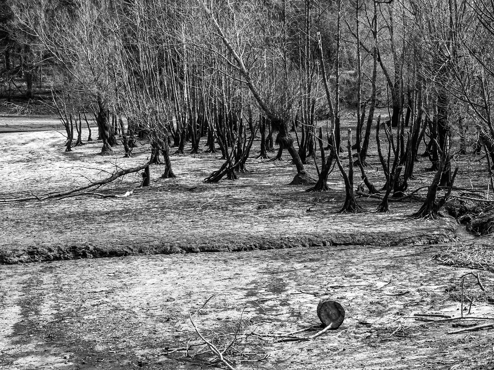 Lower Bohernabreena reservoir, Co Dublin, 8 Apr 2015