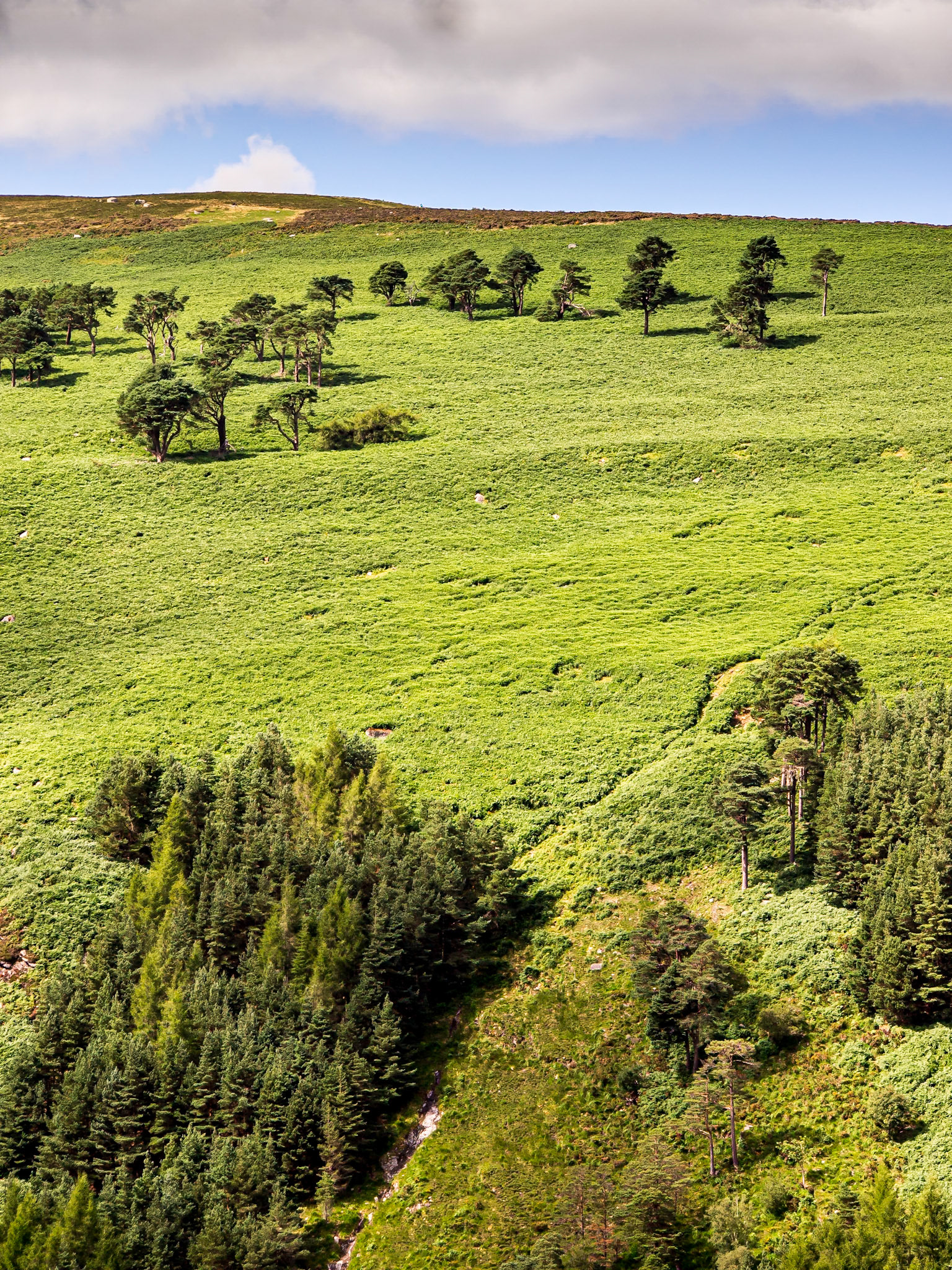 Glendalough, 11 Aug 2013