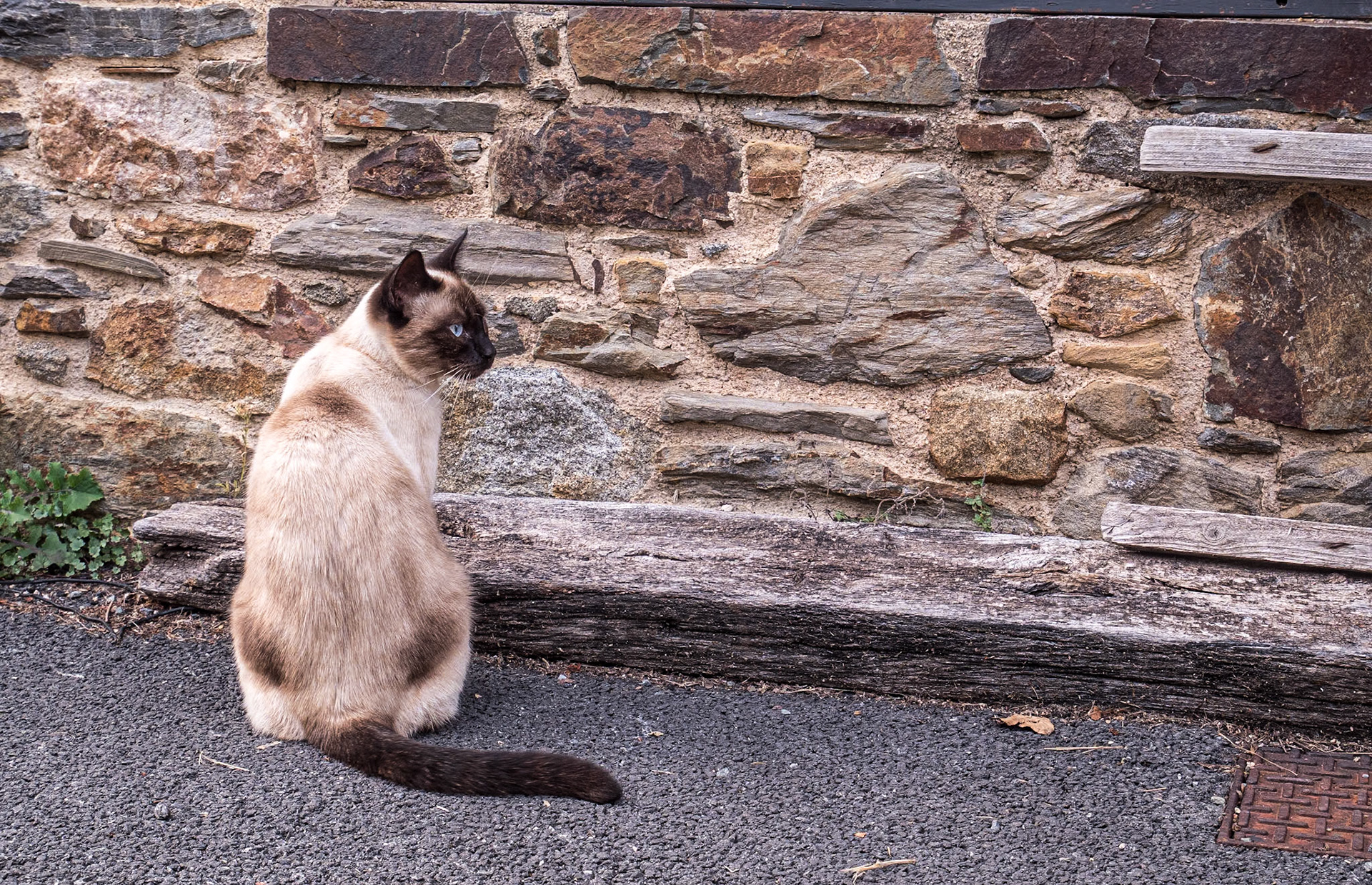 Saint-Suliac, France, 22 Sep 2022