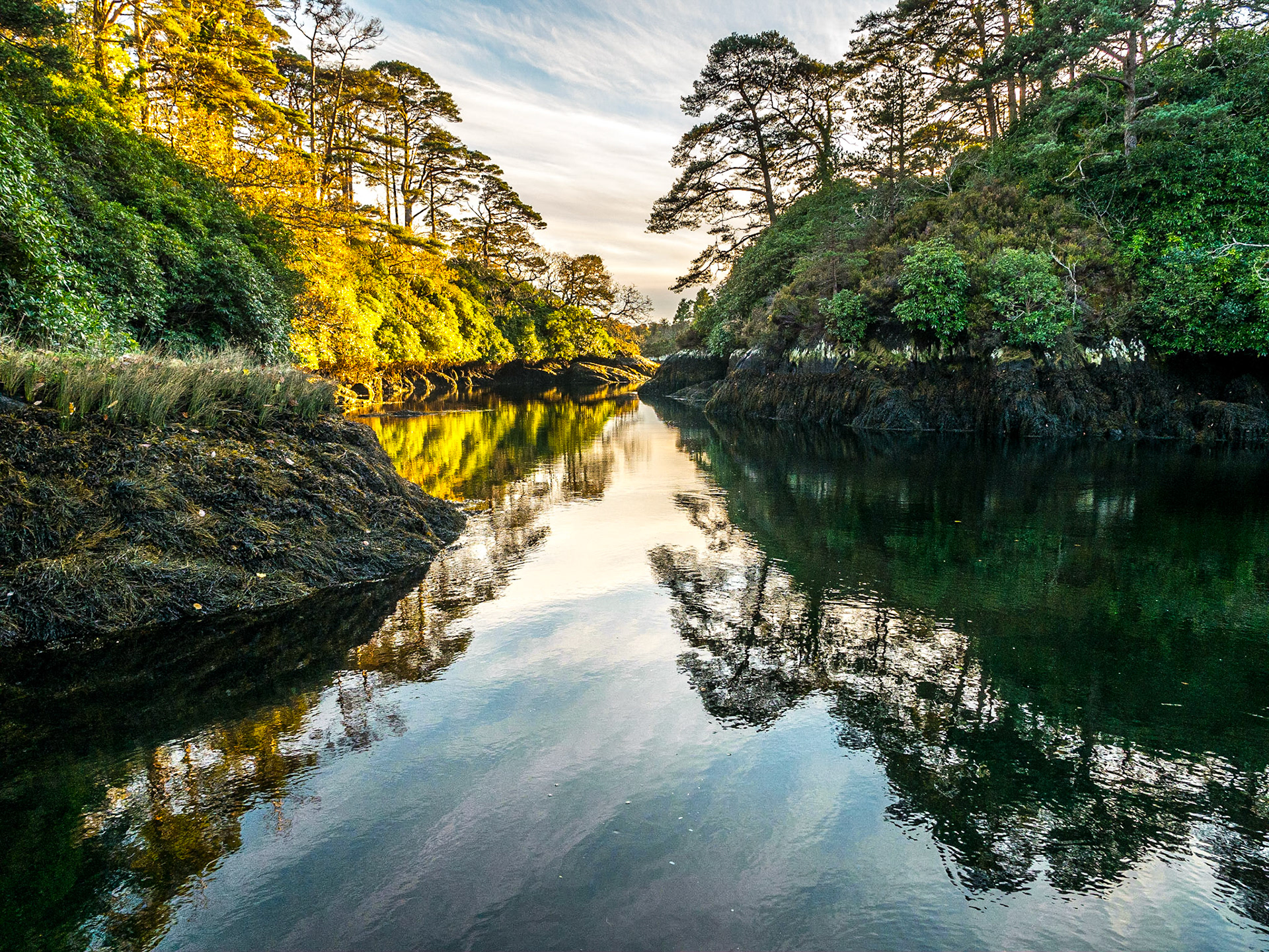 Poulgorm, Glengarriff, Co Cork, 20 Nov 2016