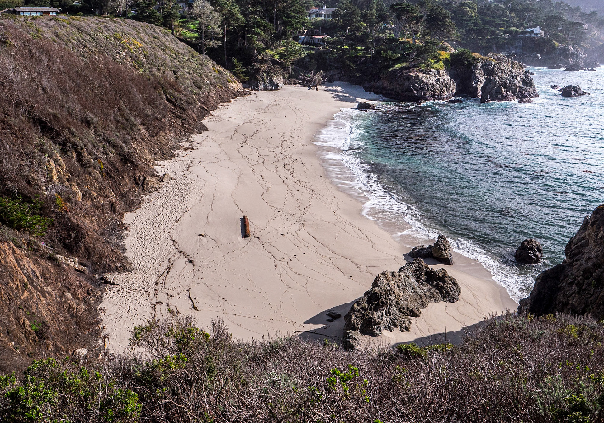Point Lobos State Natural Reserve, California, 22 Jan 2024