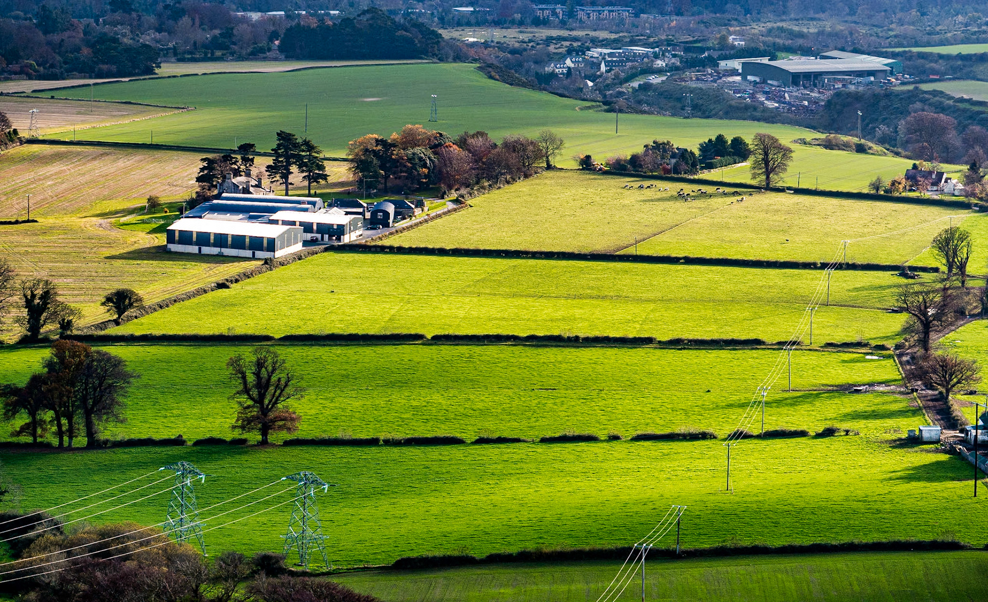 Carrickgollogan, Co Dublin, 28 Nov 2014