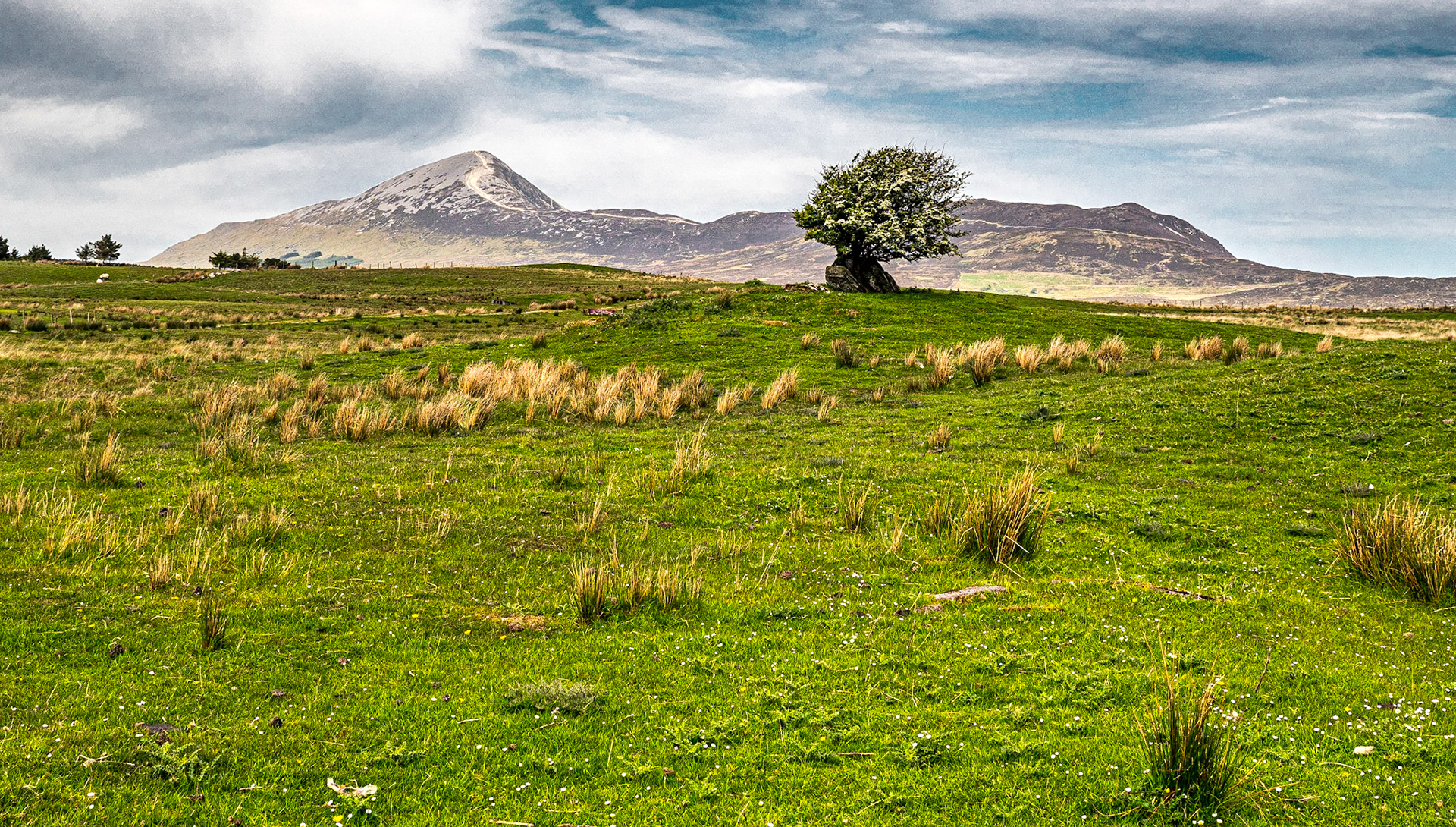 View of Croagh Patrick from the south, Co Mayo, 15 May 2019