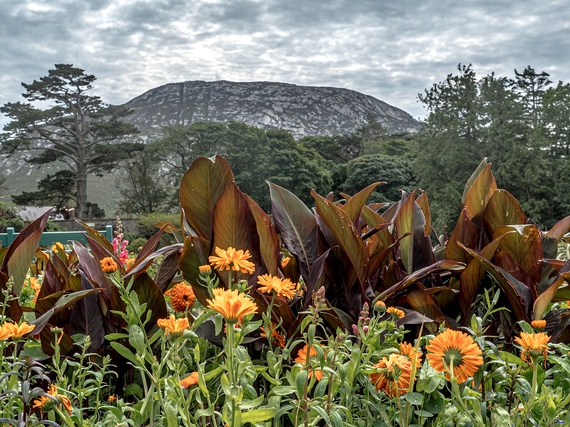 Walled garden, Kylemore Abbey, Co Galway, 30 Jul 2020