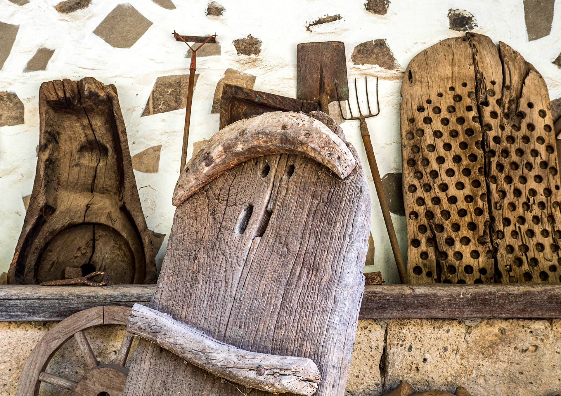 Viera &amp; Clavijo Botanic Gardens, Gran Canaria, 29 Jan 2020