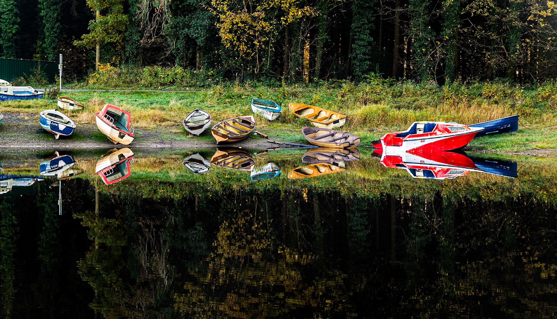 Blessington Lakes, Co Wicklow, 1 Nov 2015