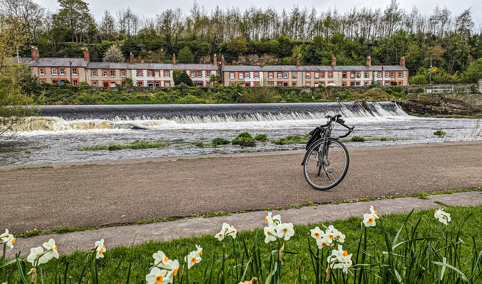 By the River Liffey Lucan, Co Dublin, 17 Apr 2024