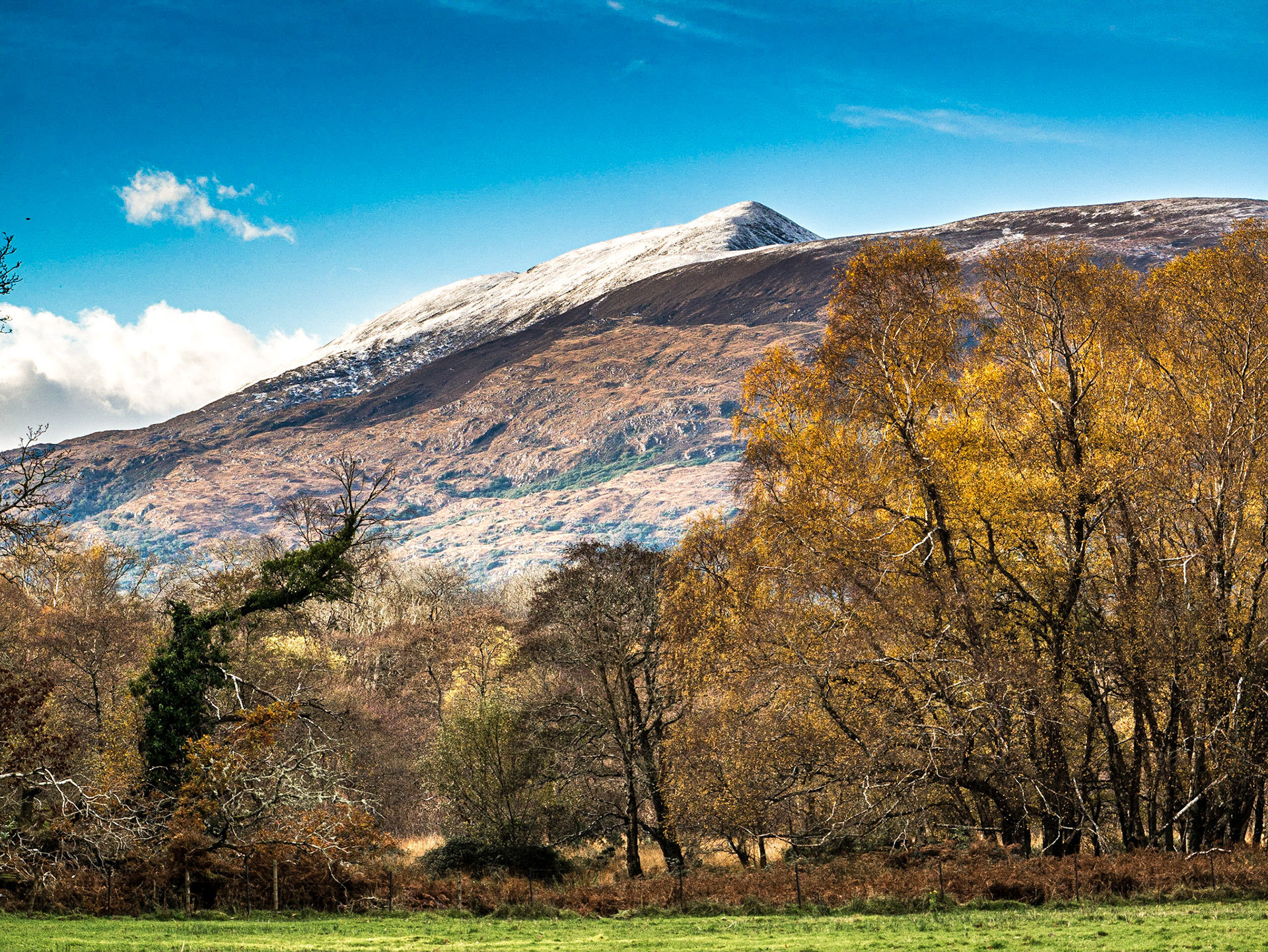 Muckross estate, Killarney, 21 Nov 2016