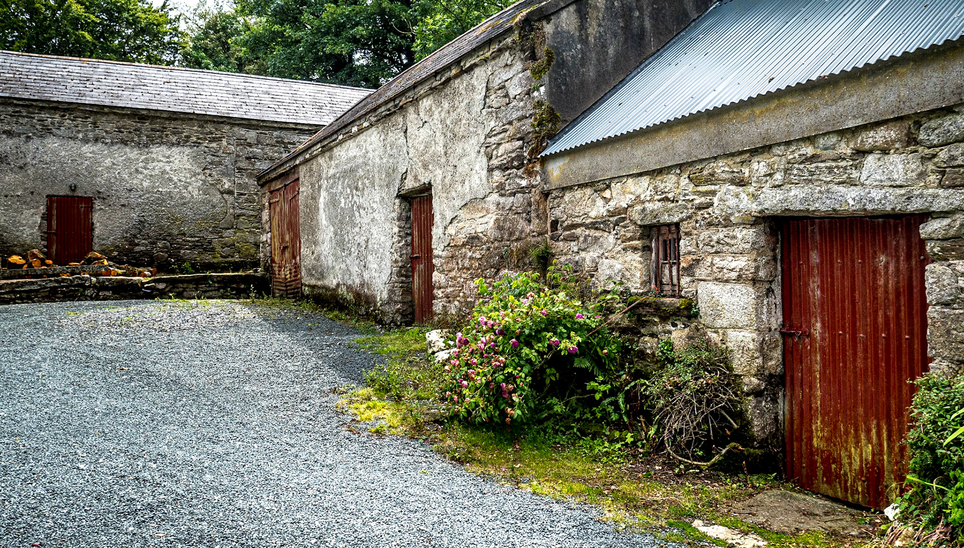 Farmyard near Knockanarrigan, Co Wicklow, 9 Jul 2020
