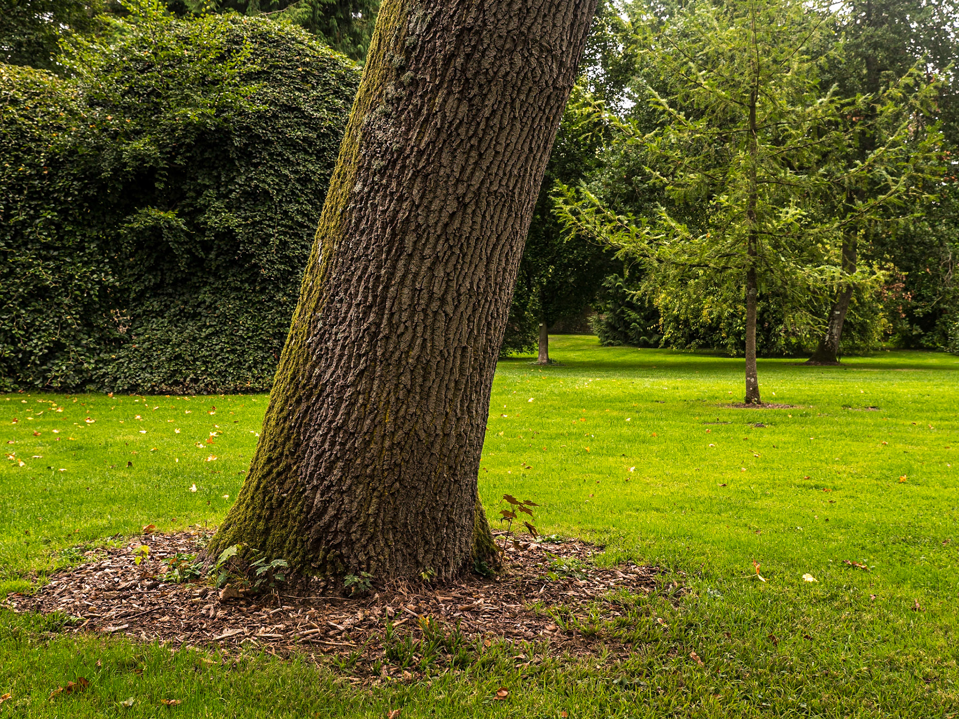 Arboretum of Château d'Harcourt, Normandy, 26 Sep 2021