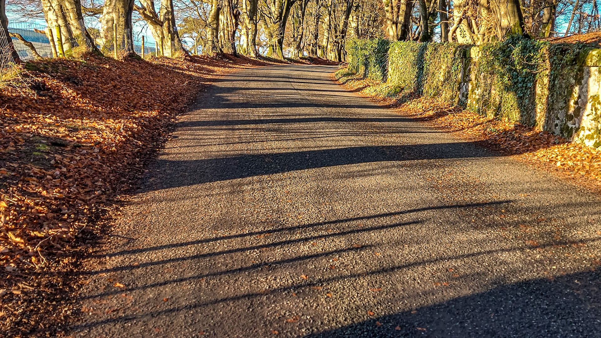 Manor Kilbride, Co Wicklow, 7 Dec 2022