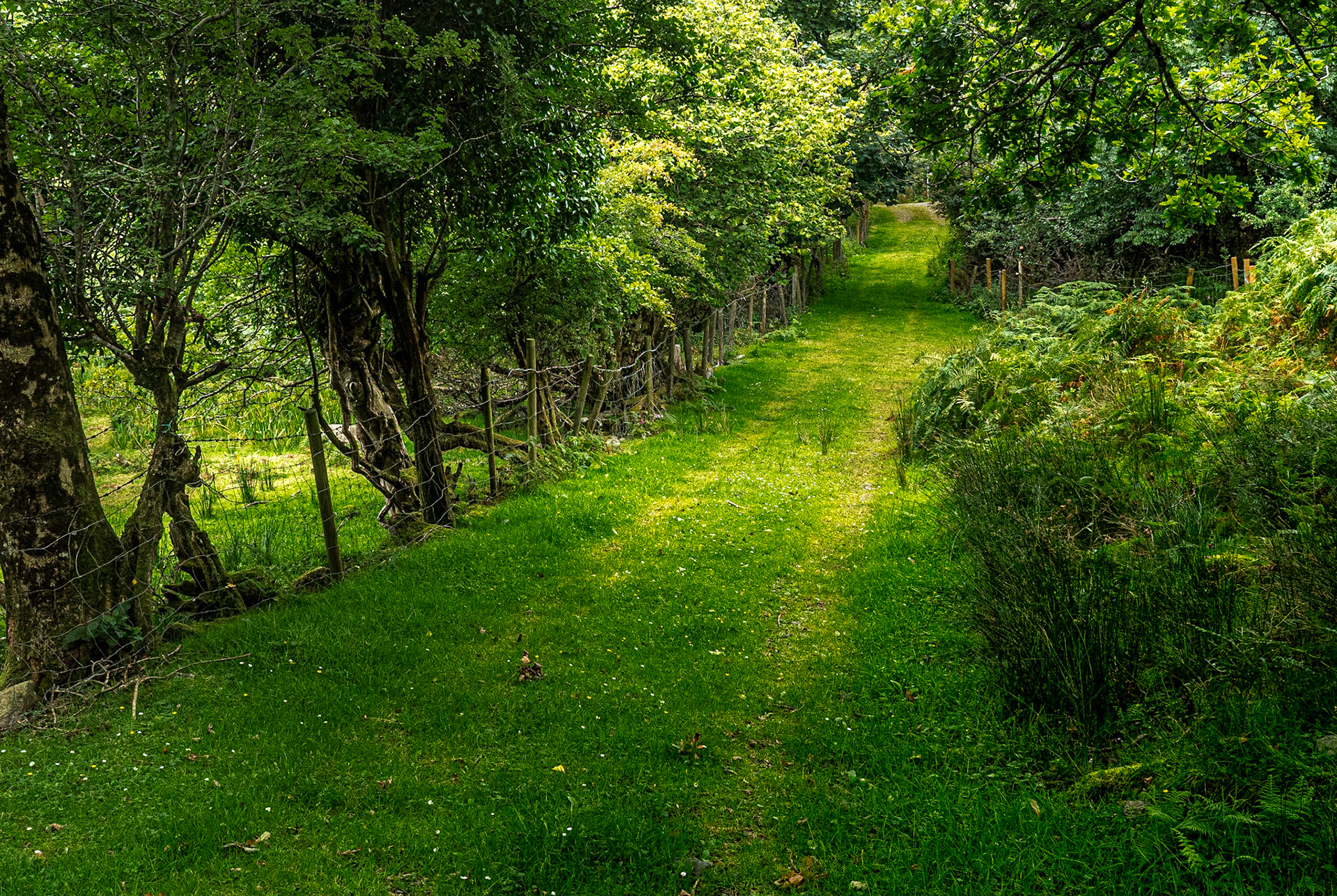 Near Killary Harbour, Co Mayo, 29 Jul 2020