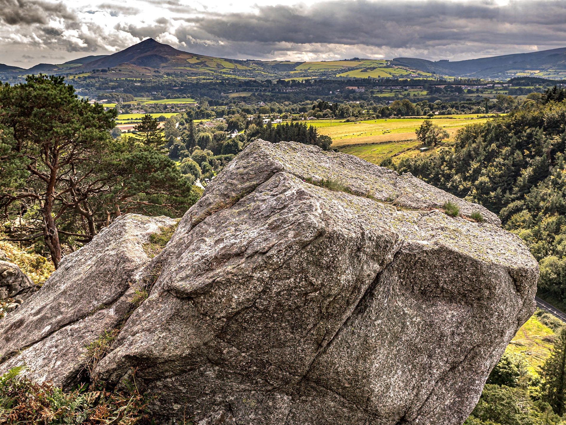 Barnaslingan Forest, Co Dublin, 1 Sep 2020