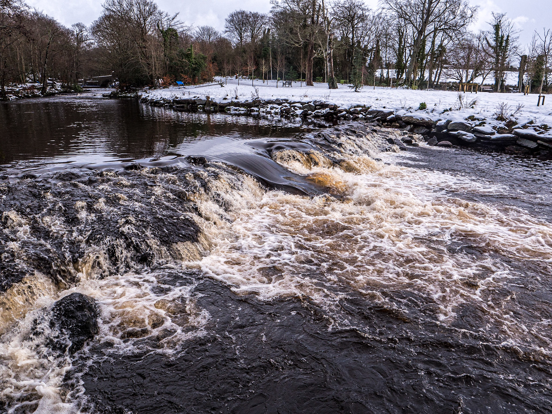 Swan Park, Buncrana, Co Donegal, 18 Jan 2023