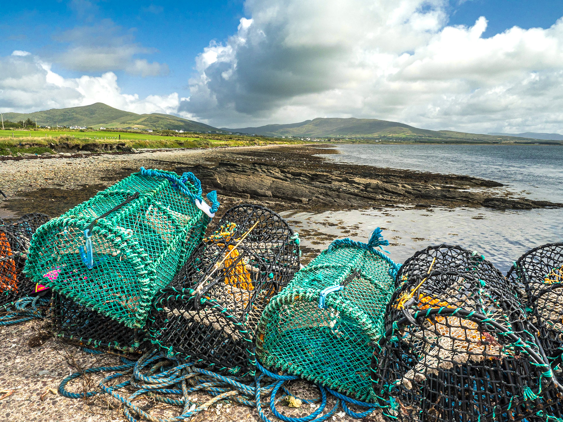 Reenard Point, Co Kerry, 19 Aug 2019