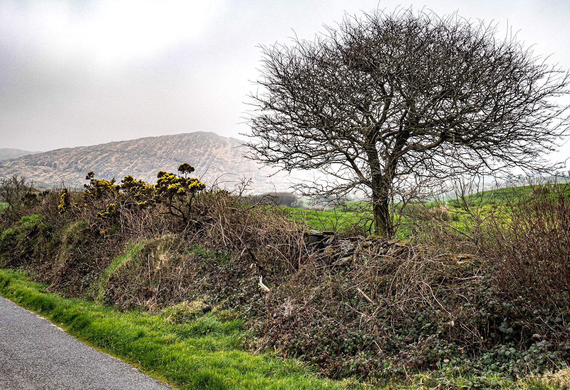 Mizen Peninsula, Co Cork