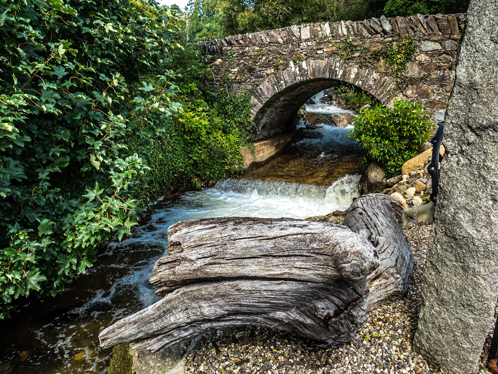 Glenmalure, Co Wicklow, 26 Aug 2020