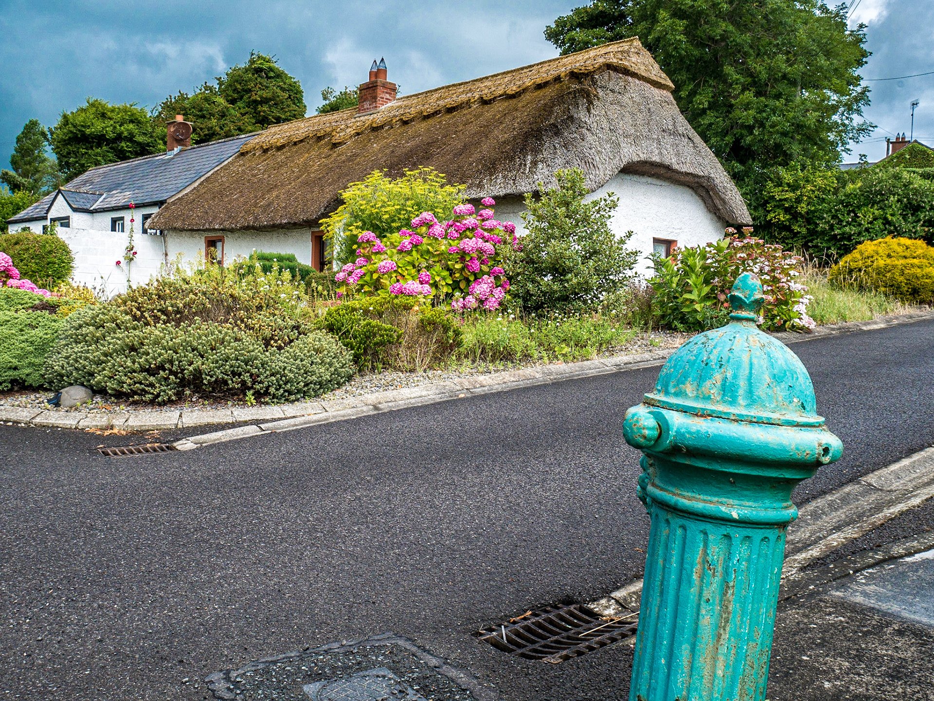 Baltray, Co Louth, 3 Aug 2017