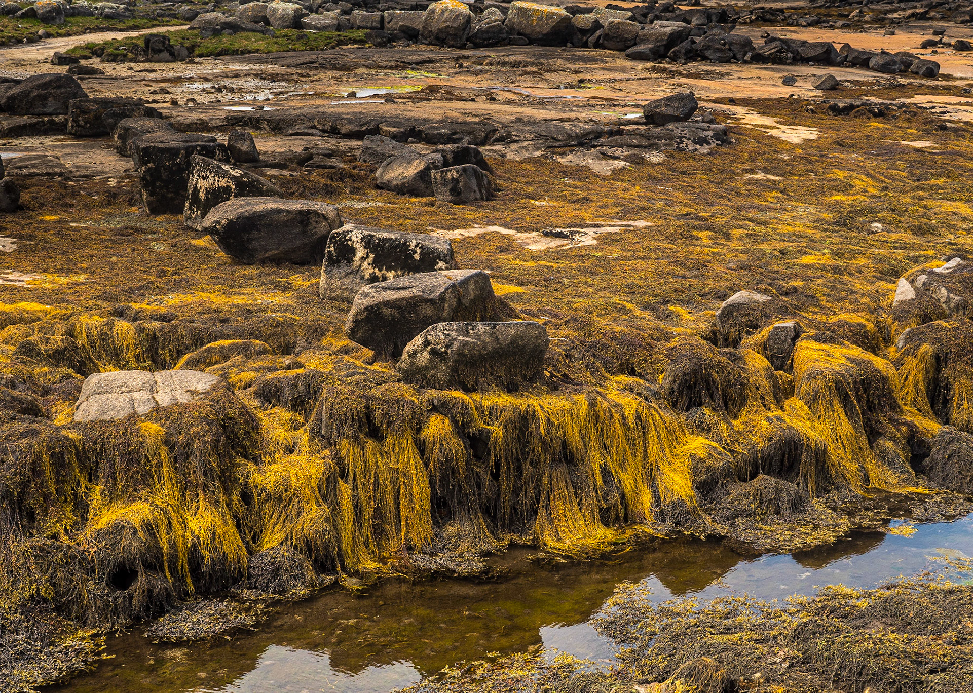 Rosmuc Peninsula, Co Galway, 14 Jun 2022
