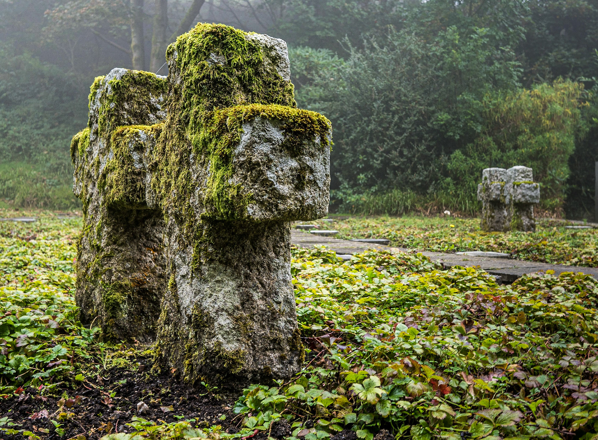 German Military Cemetery, Glencree, Co Wicklow, 19 Sep 2014