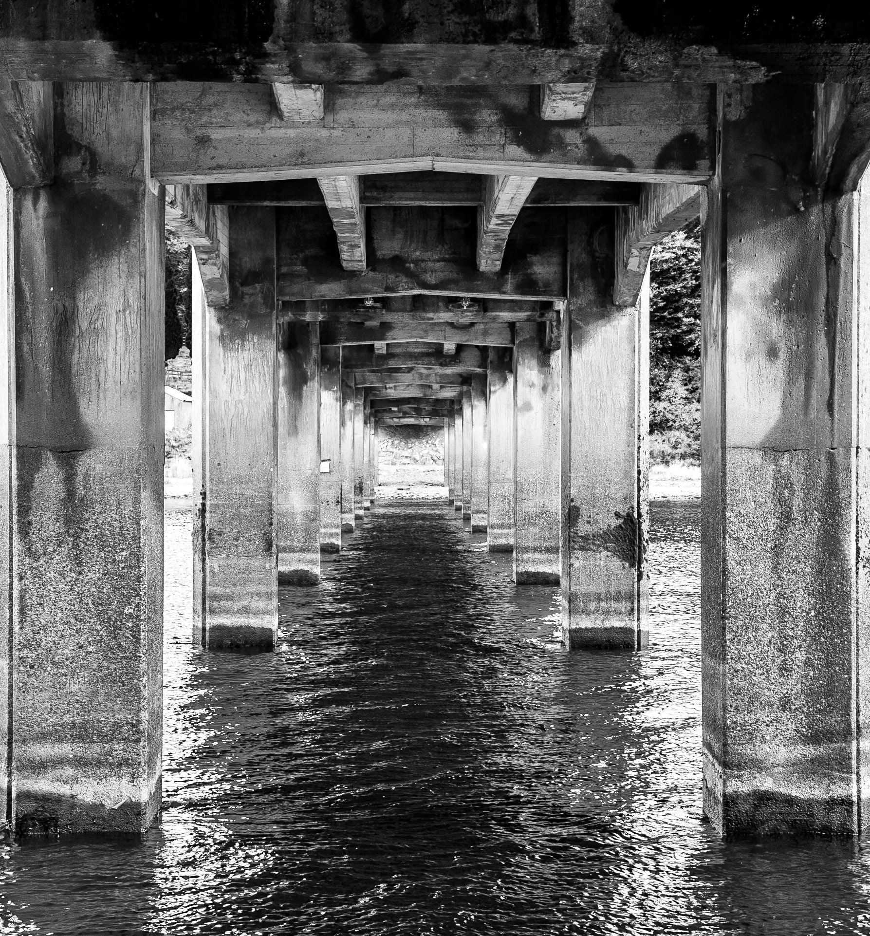 Under bridge at Blessington Lakes, Co Wicklow, 23 Oct 2016