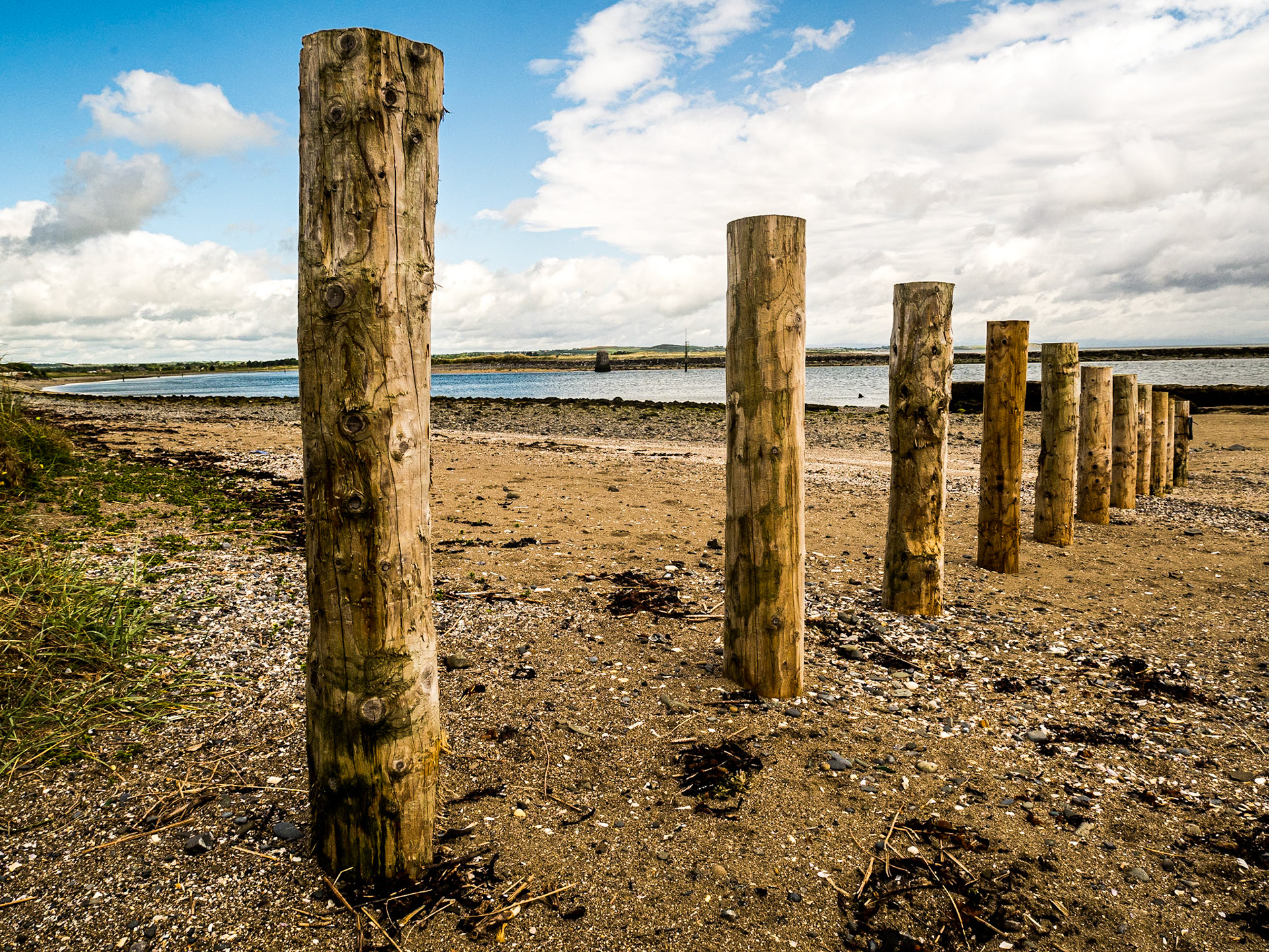 Boyne estuary near Bettystown, Co Louth, 5 Jun 2015