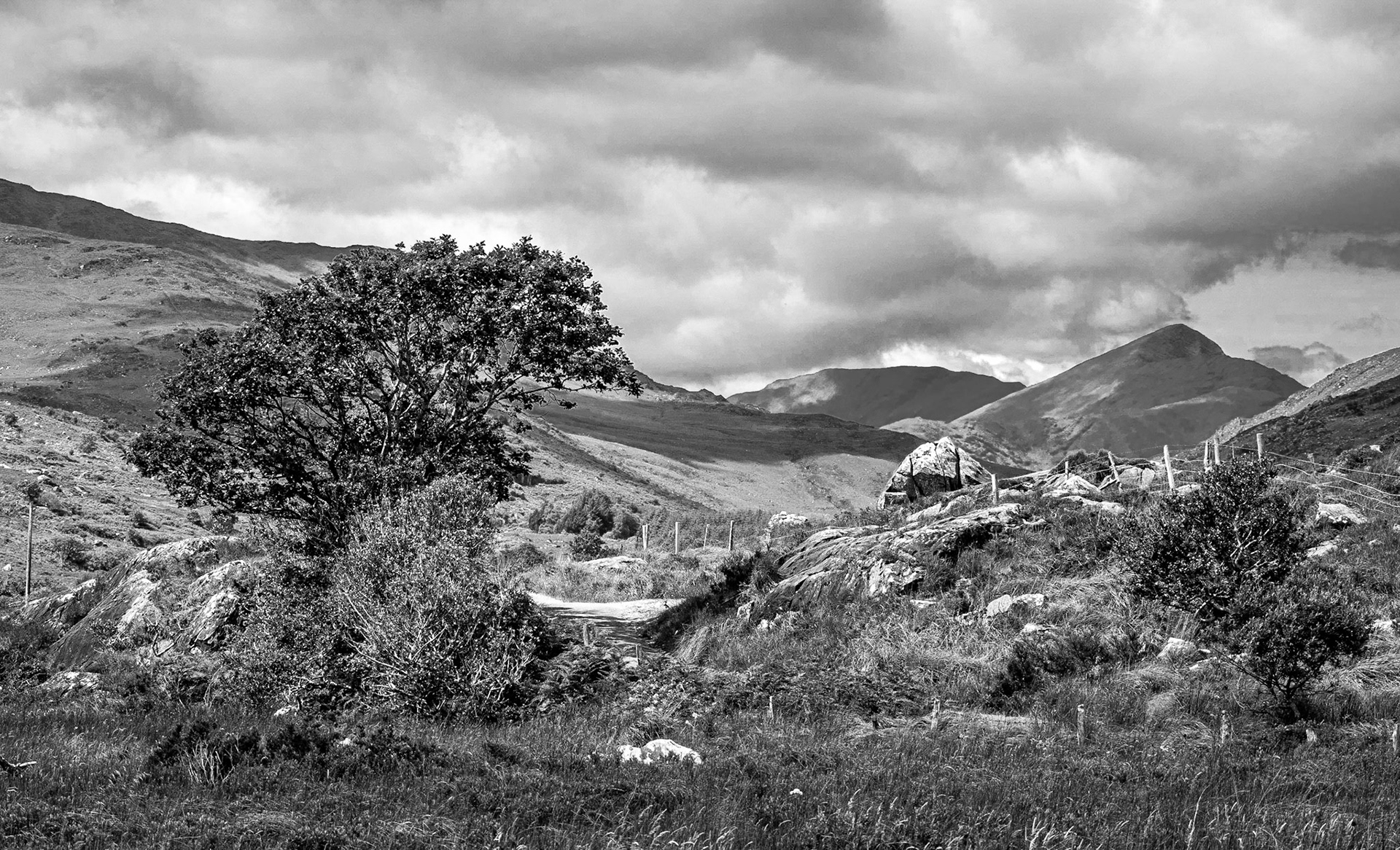 Black Valley, Co Kerry, 19 Jul 2015