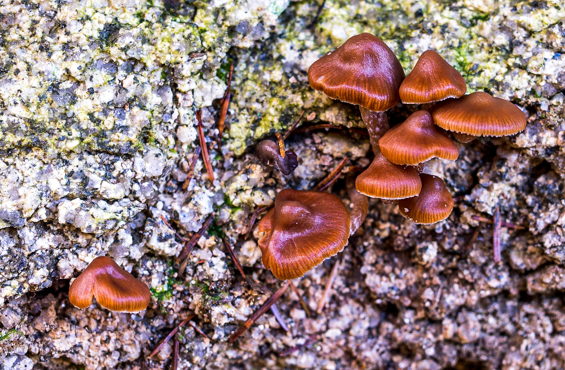 Dublin mountains, 20 oct 2013
