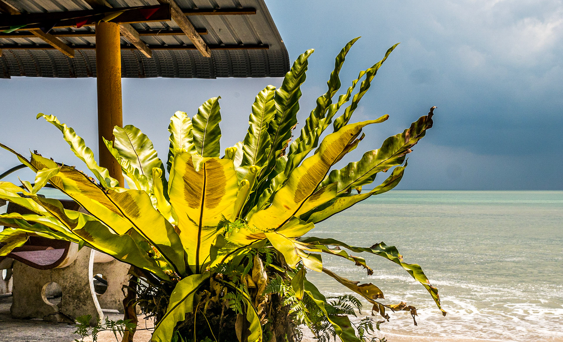 Beach at Tropical Spice Garden, Penang, 10 Jun 2017