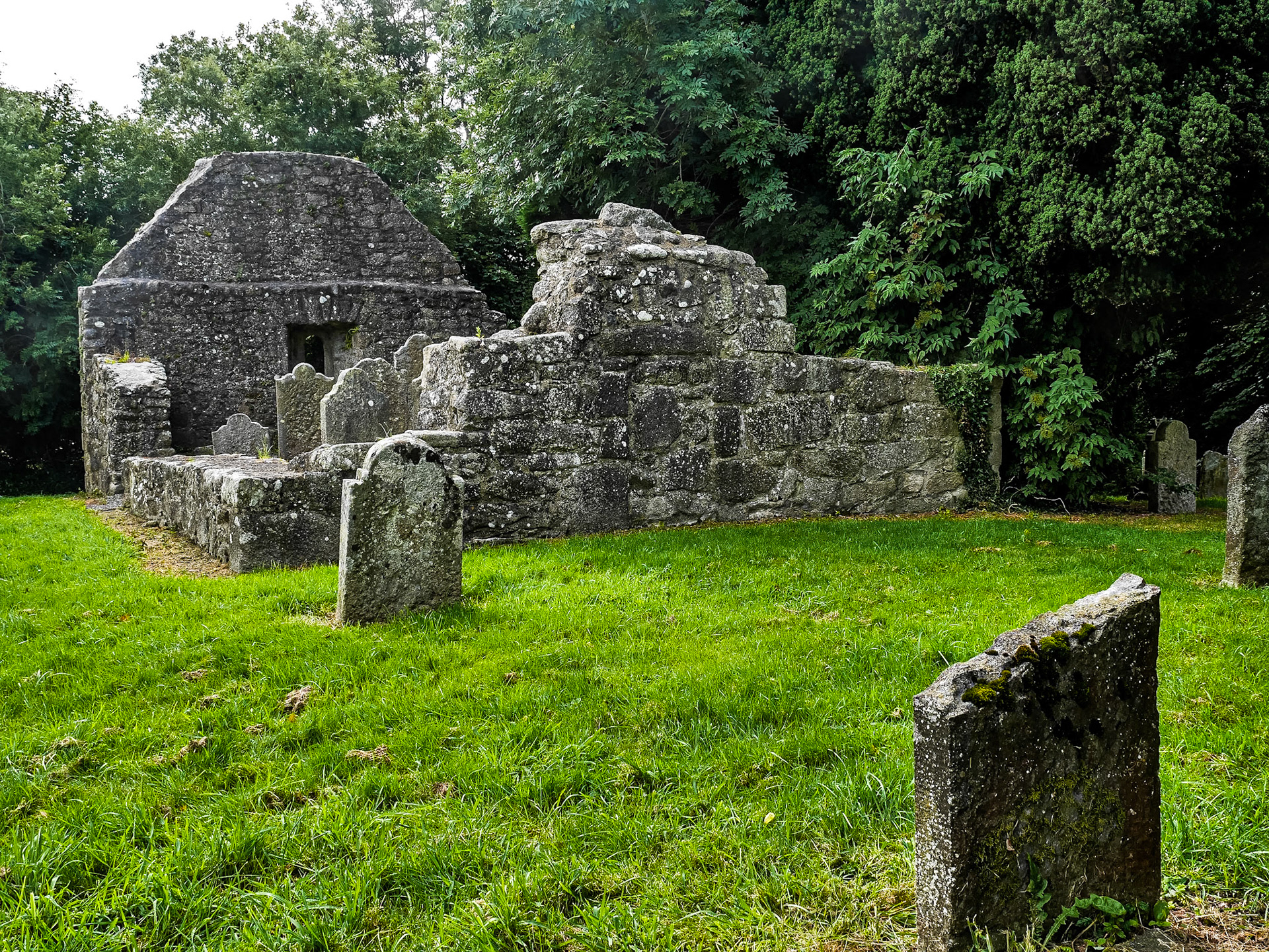 Bishop's Lane burial ground, Dublin, 29 Jul 2015
