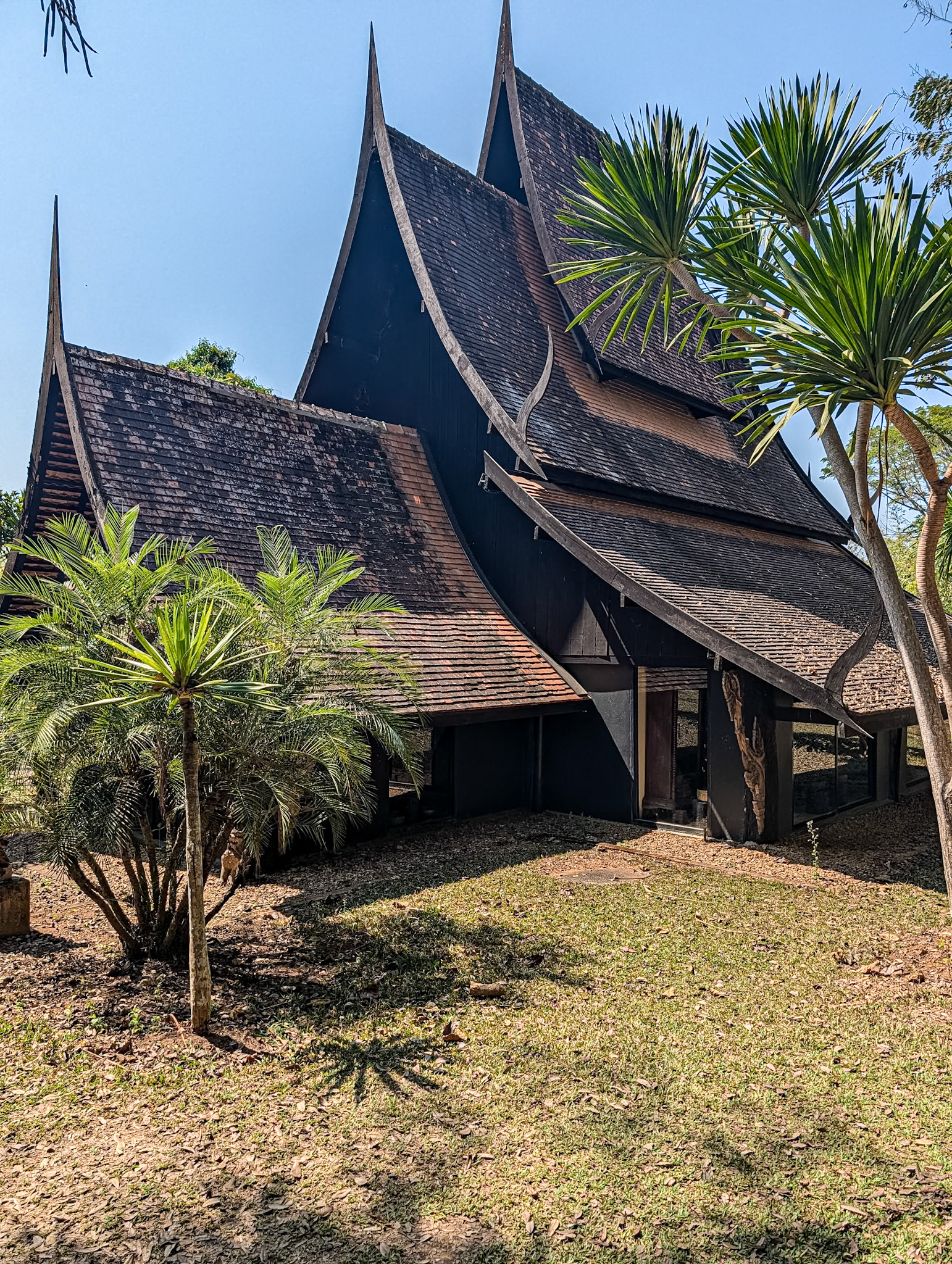 Baan Dam Museum, Chiang Rai, 13 Feb 2026