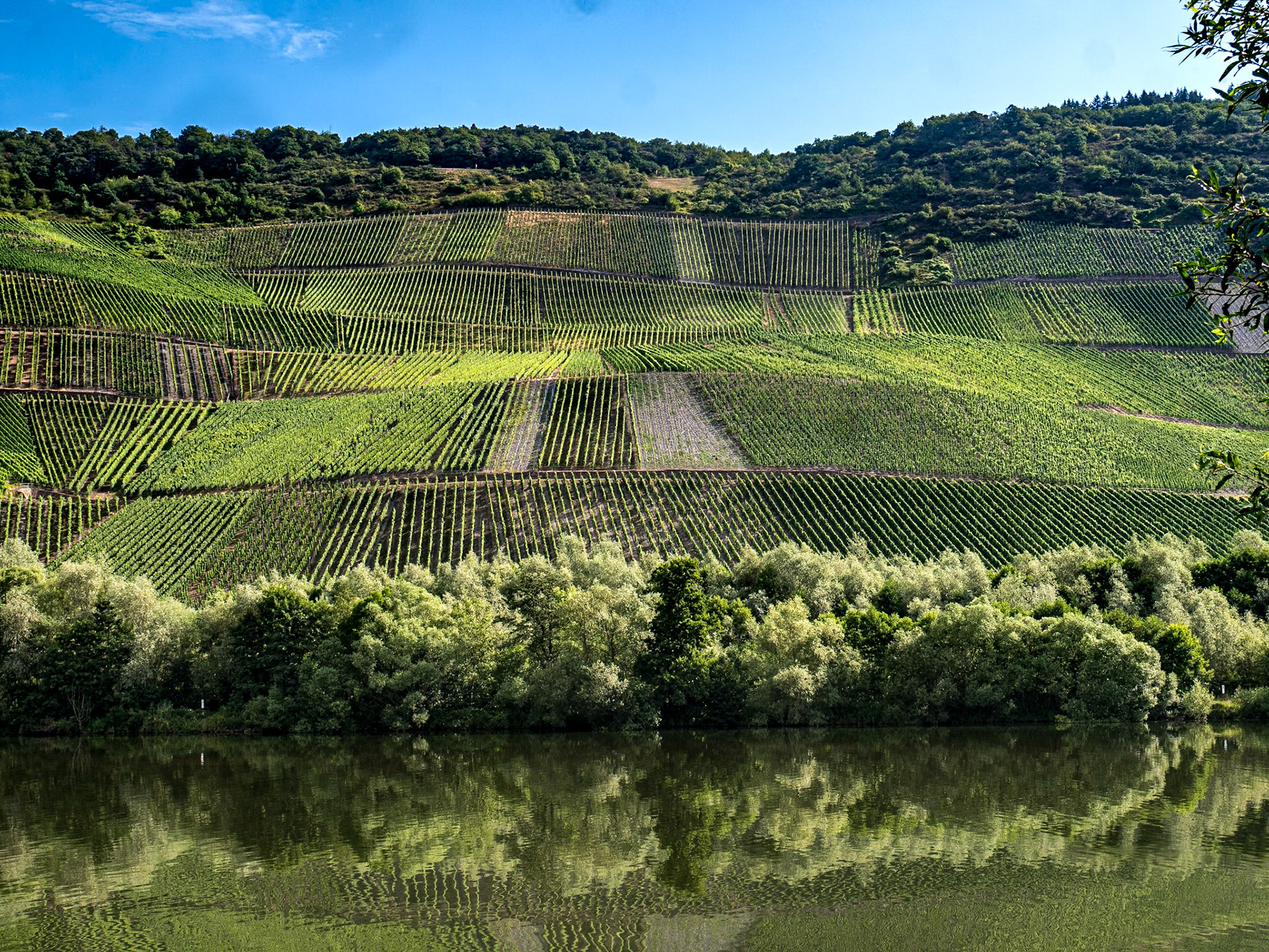 At MoselCamping Bernkastel, Germany, 20 Jul 2025