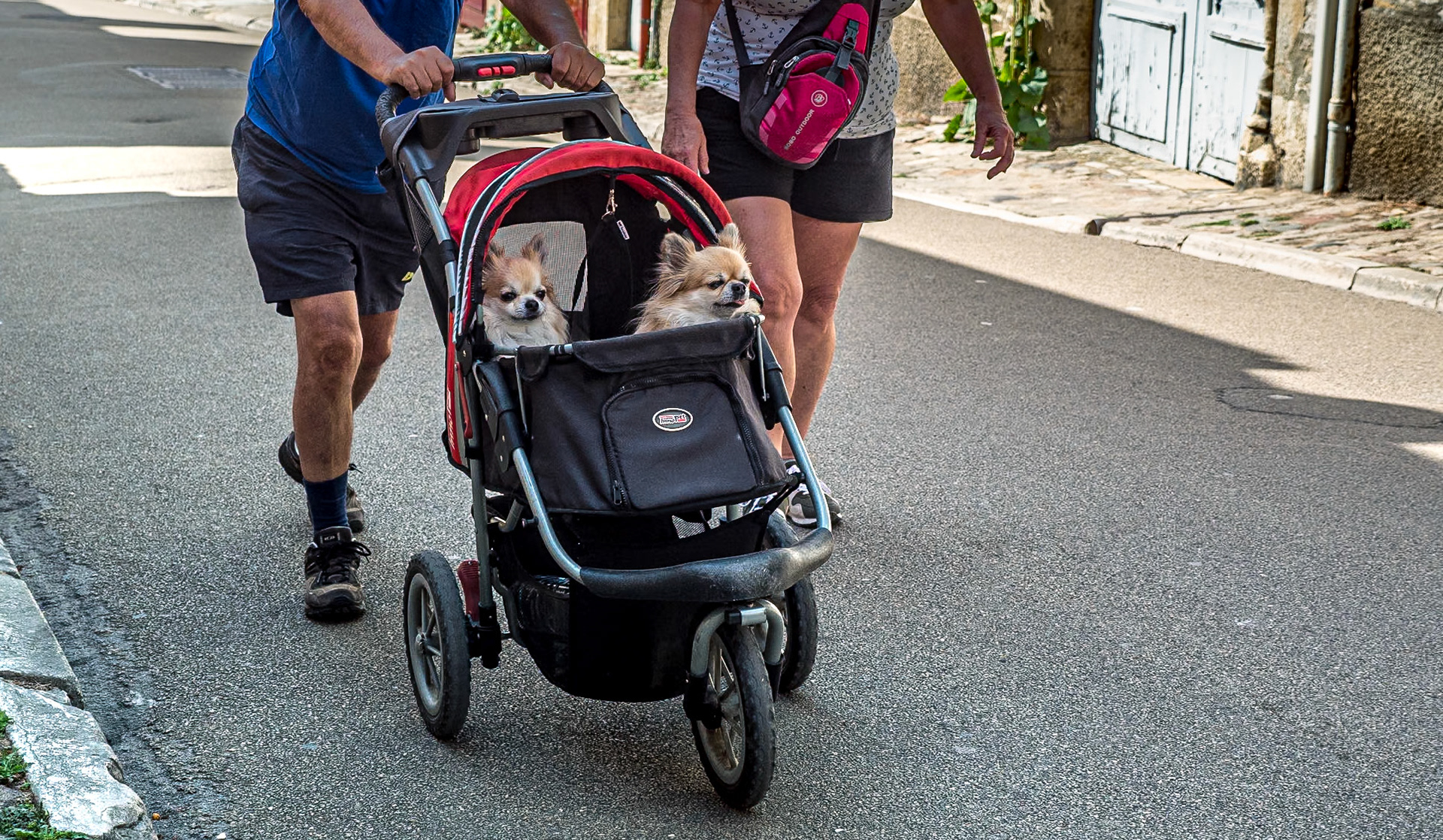 Vézelay, 17 Sep 2019