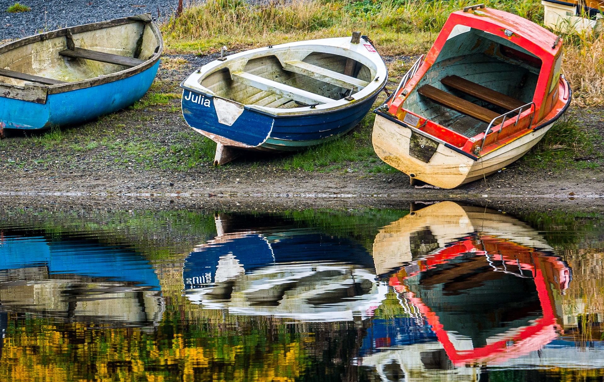 Blessington Lakes, Co Wicklow, 1 Nov 2015