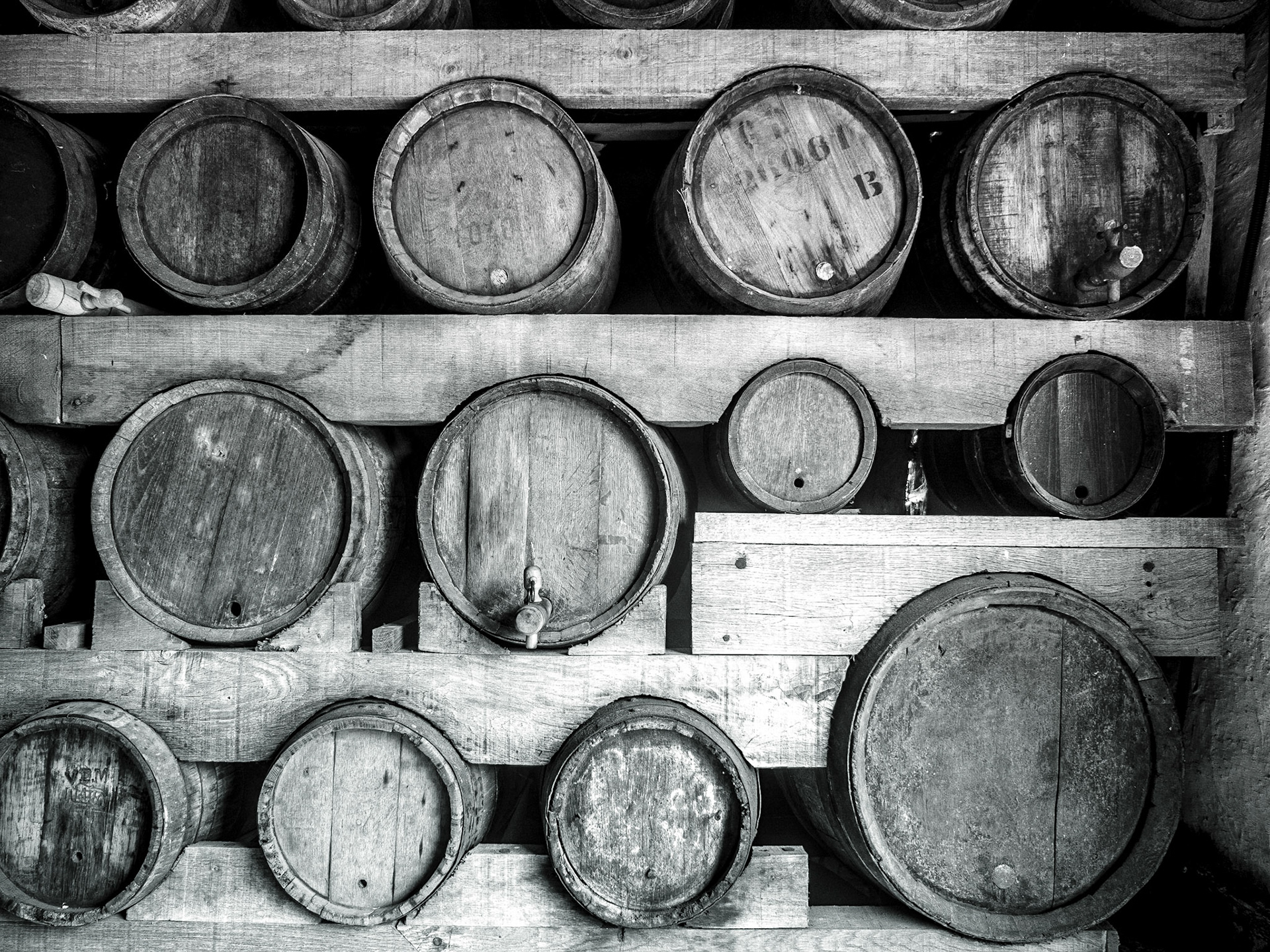 Les jardins du Pays d'Auge, Cambremer, Normandy, 12 Sep 2019