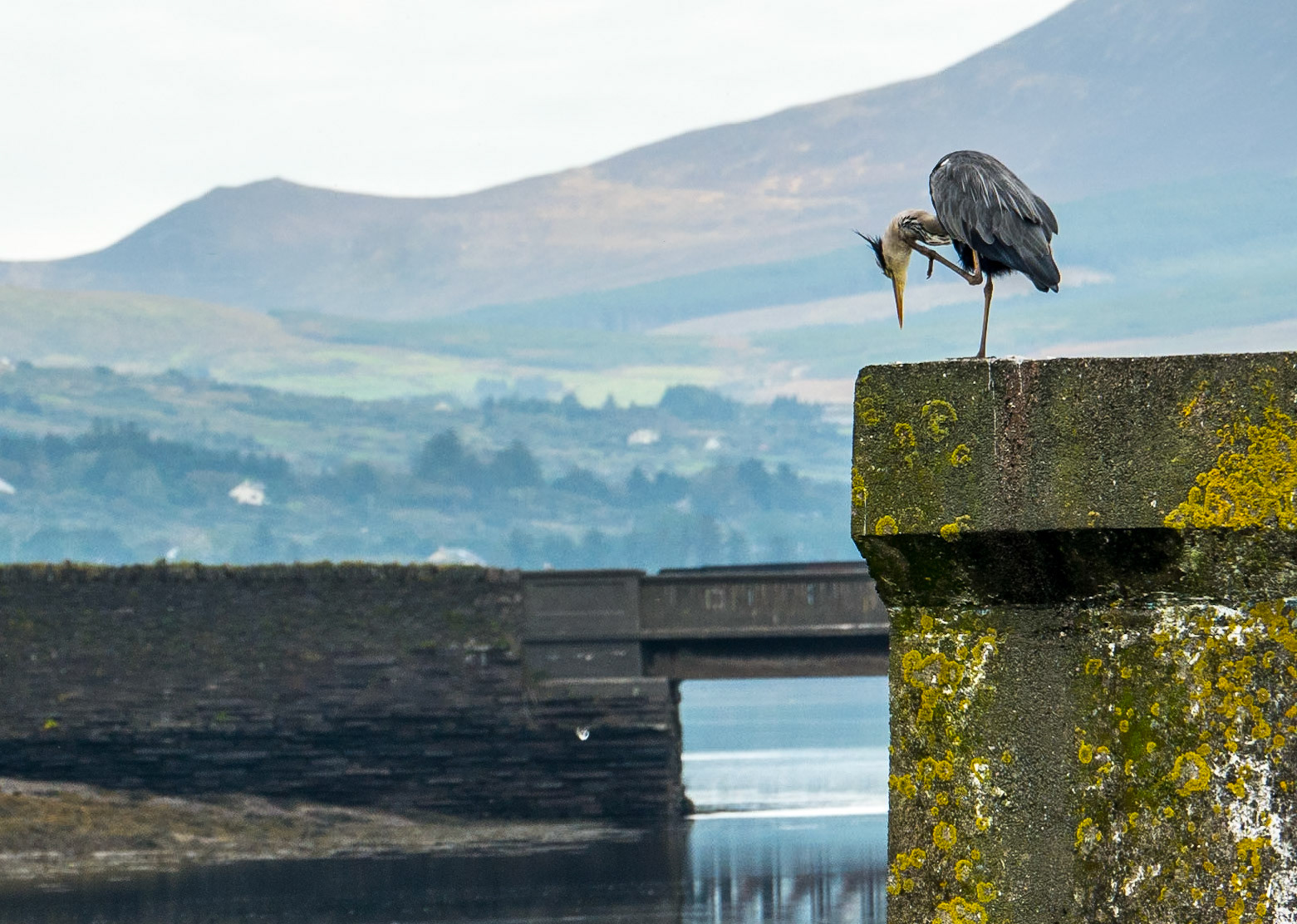 Cahersiveen Harbour, Co Kerry, 13 Oct 2016