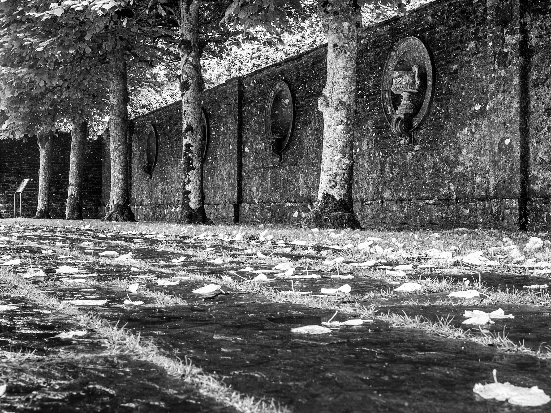 Heywood Gardens, Co Laois, 2 Aug 2016