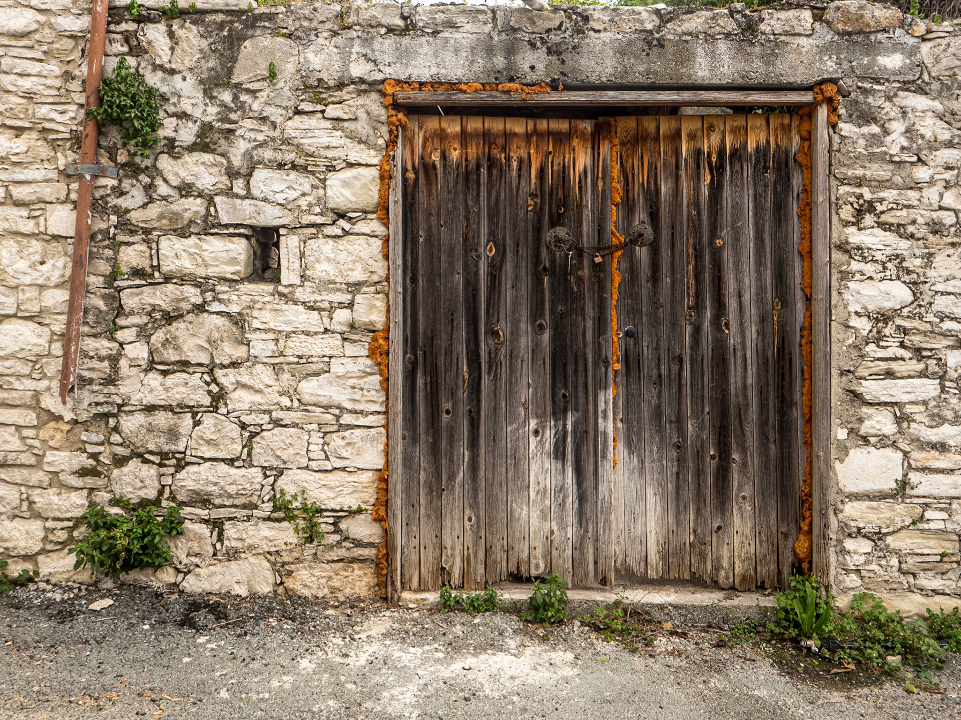 Laneia, Cyprus, 22 Feb 2025