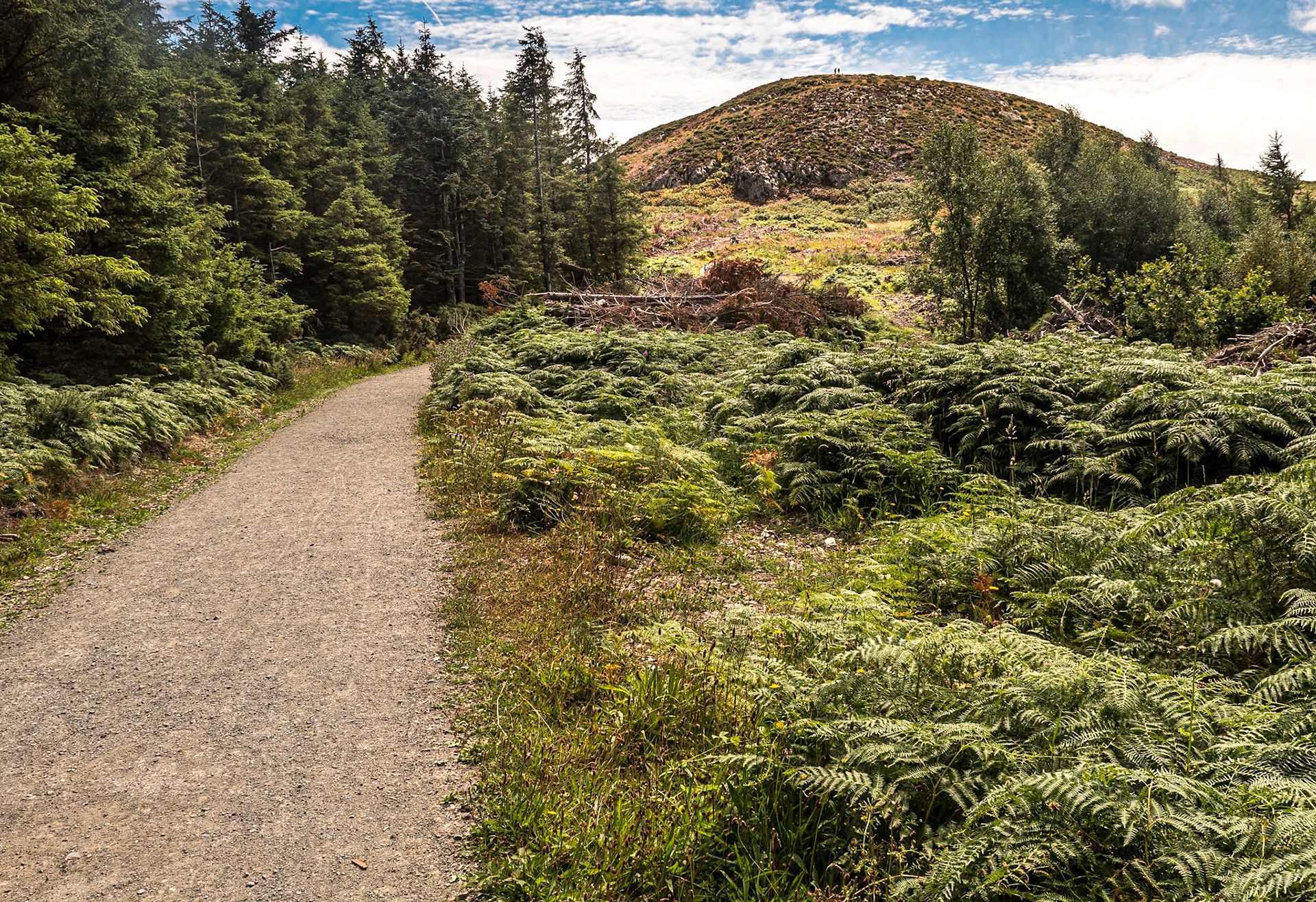 Carrickgollogan, Co Dublin, 24 Jul 2022