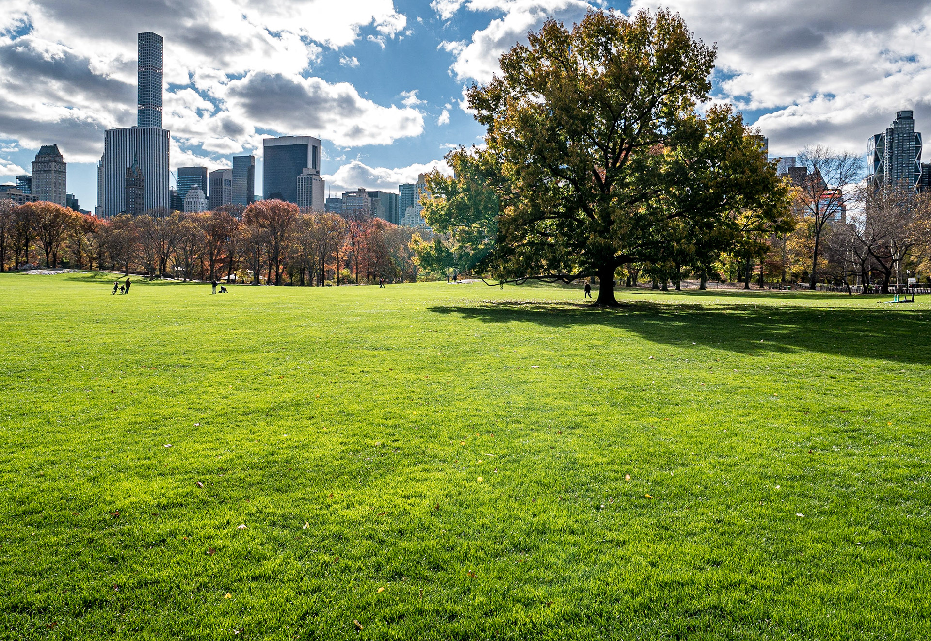 Central Park, Manhattan, 23 Nov 2015
