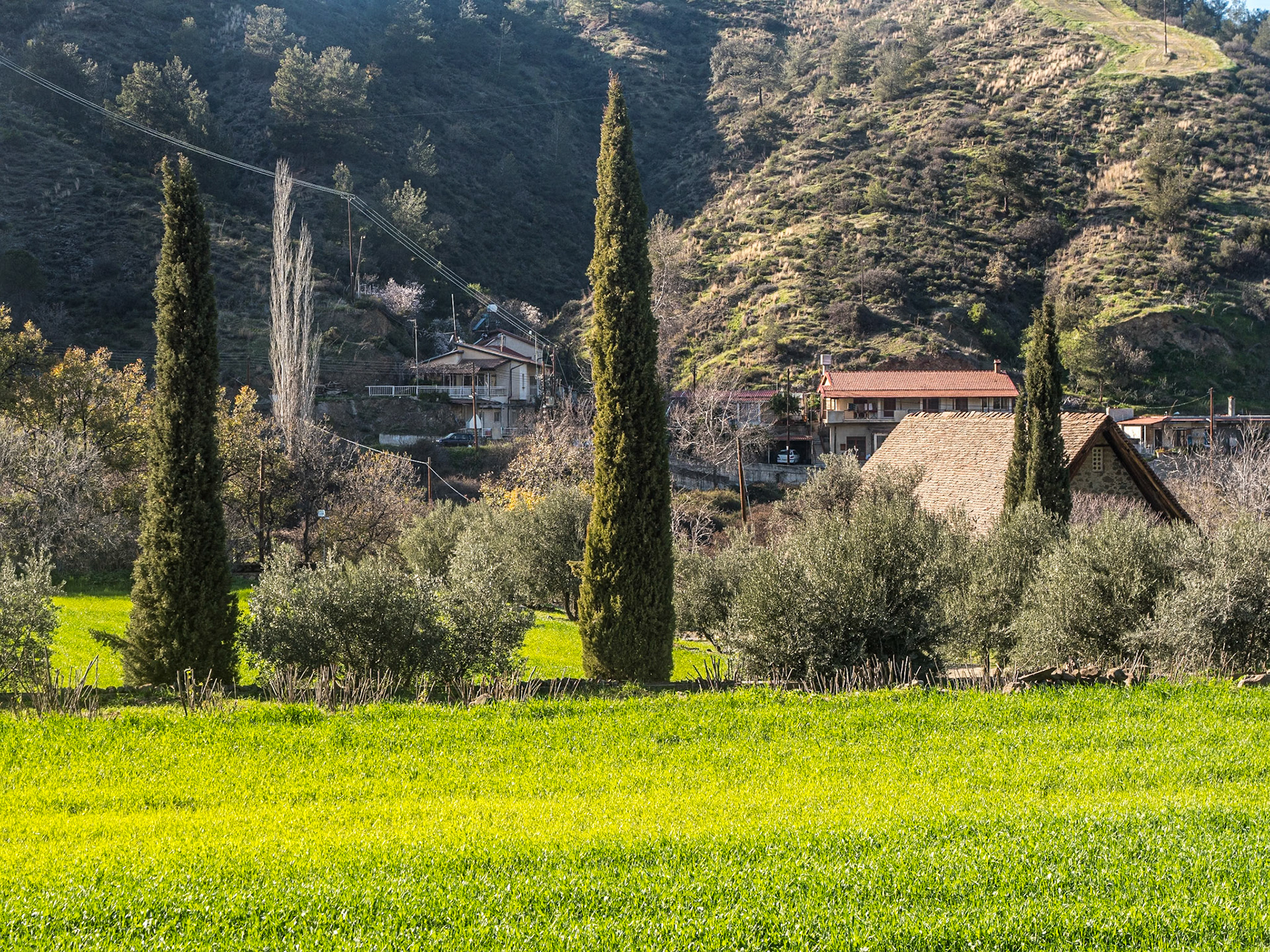 By Archangelos Michael Chapel, Galata, Cyprus, 21 Feb 2025