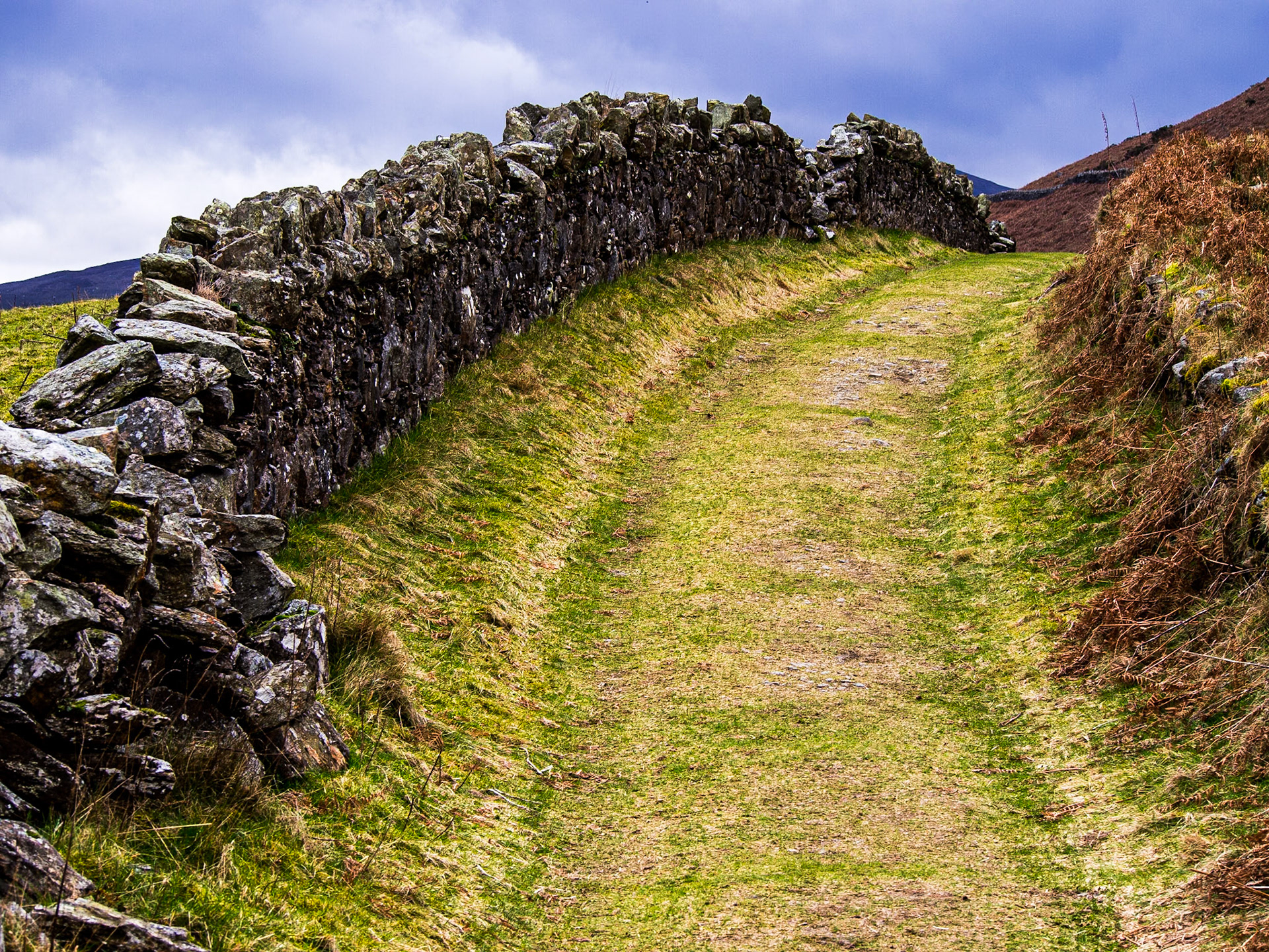 Walk from Pier gates to Lough Dan, Wicklow mountains, 9 Mar 2014