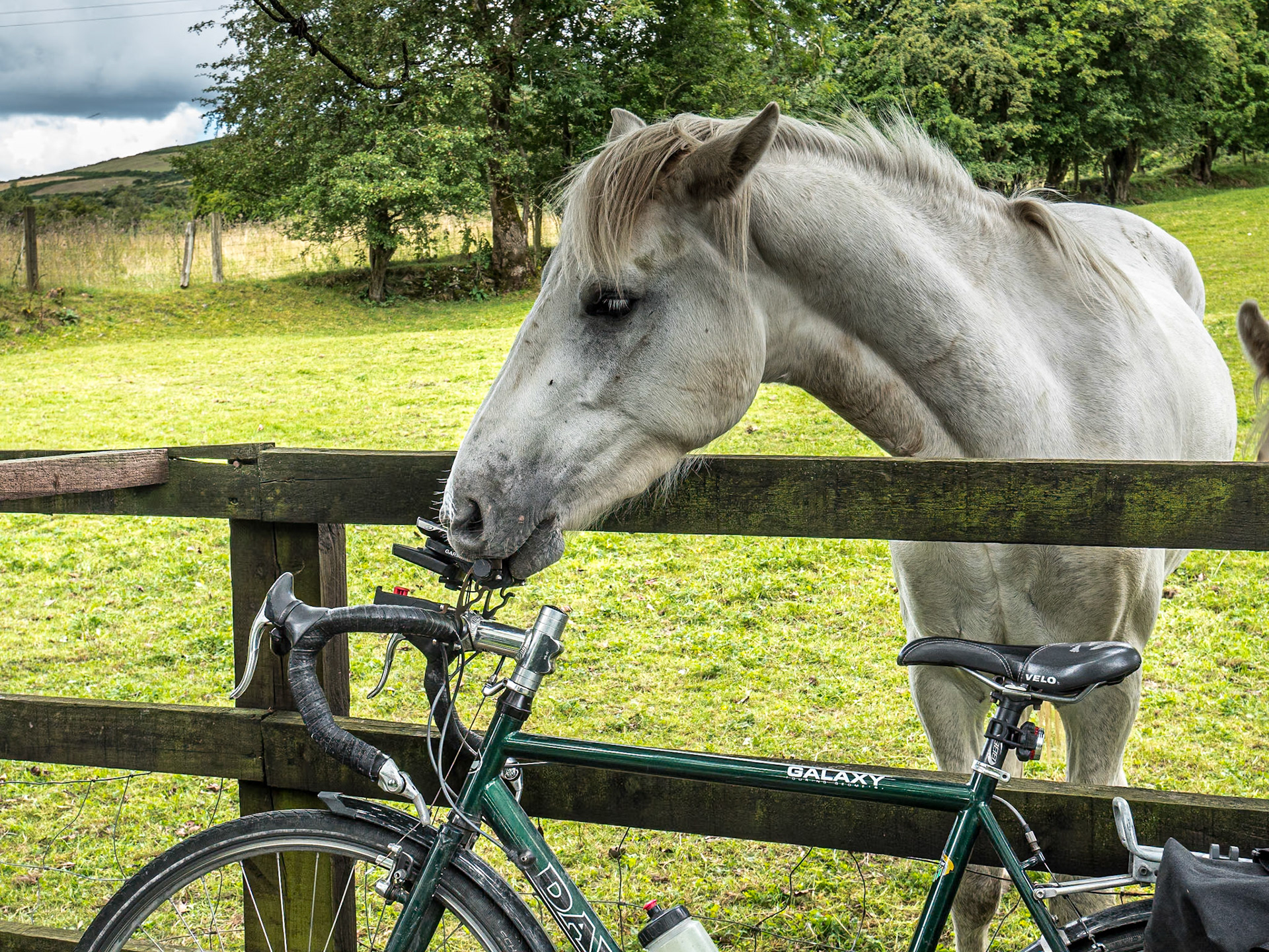 Near Hollywood, Co Wicklow, 4 Aug 2022