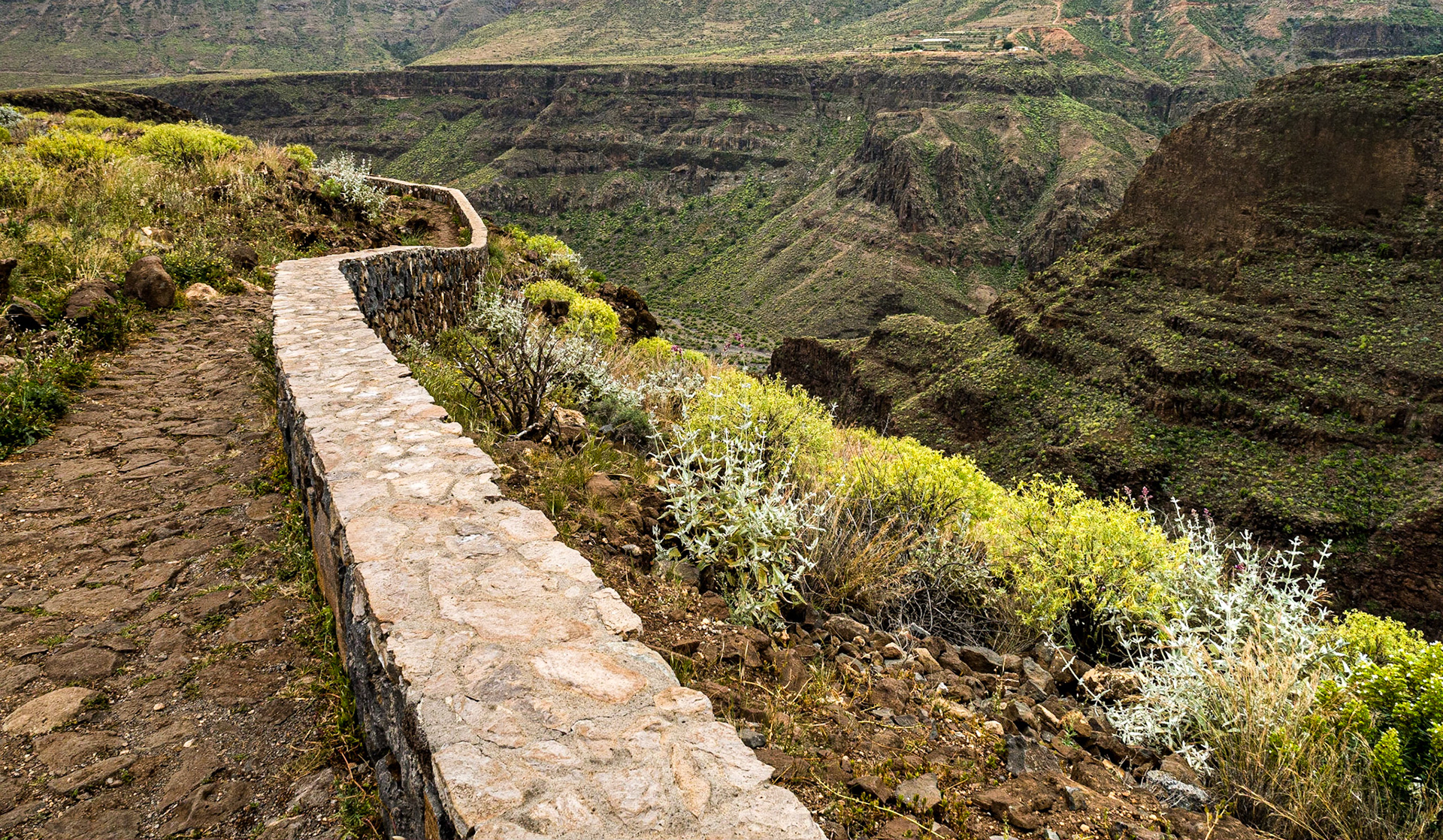 Mirador el Guriete (on GC-65), Gran Canaria, 22 Feb 2016