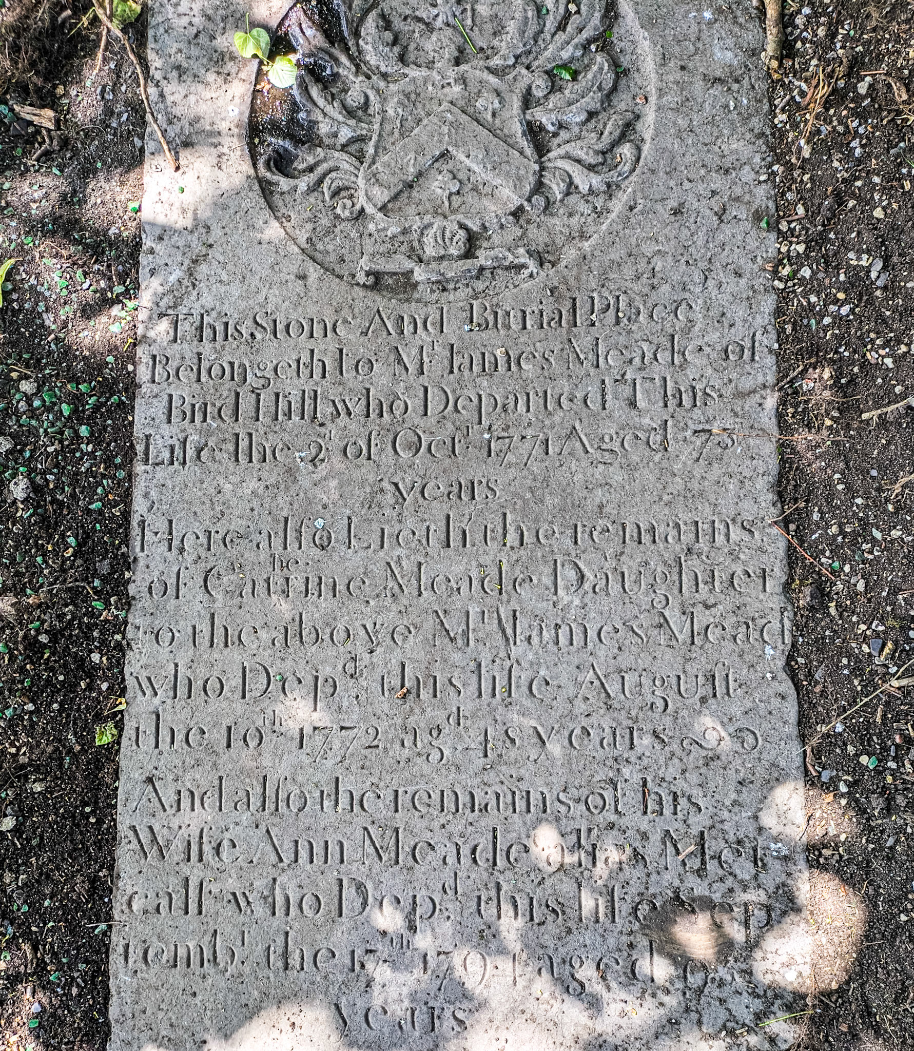 By Syddan (Siddan) church (CoI), Co Meath, 26 Jun 2025