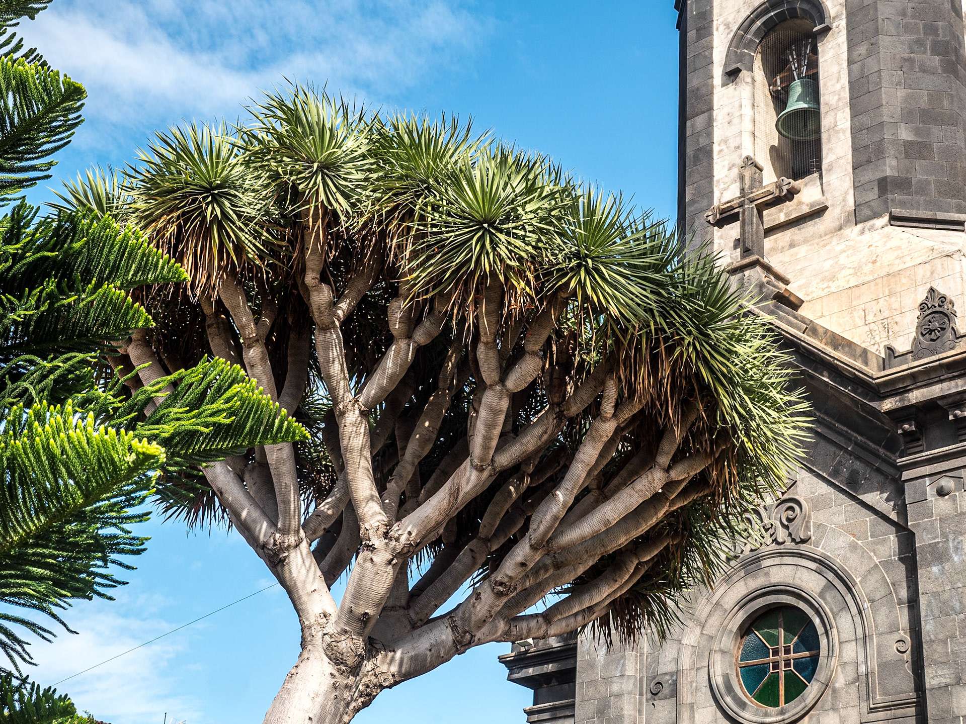 Iglesia de Nuestra Señora de la Peña de Francia, Puerto de la Cruz, Tenerife, 27 Jan 2022