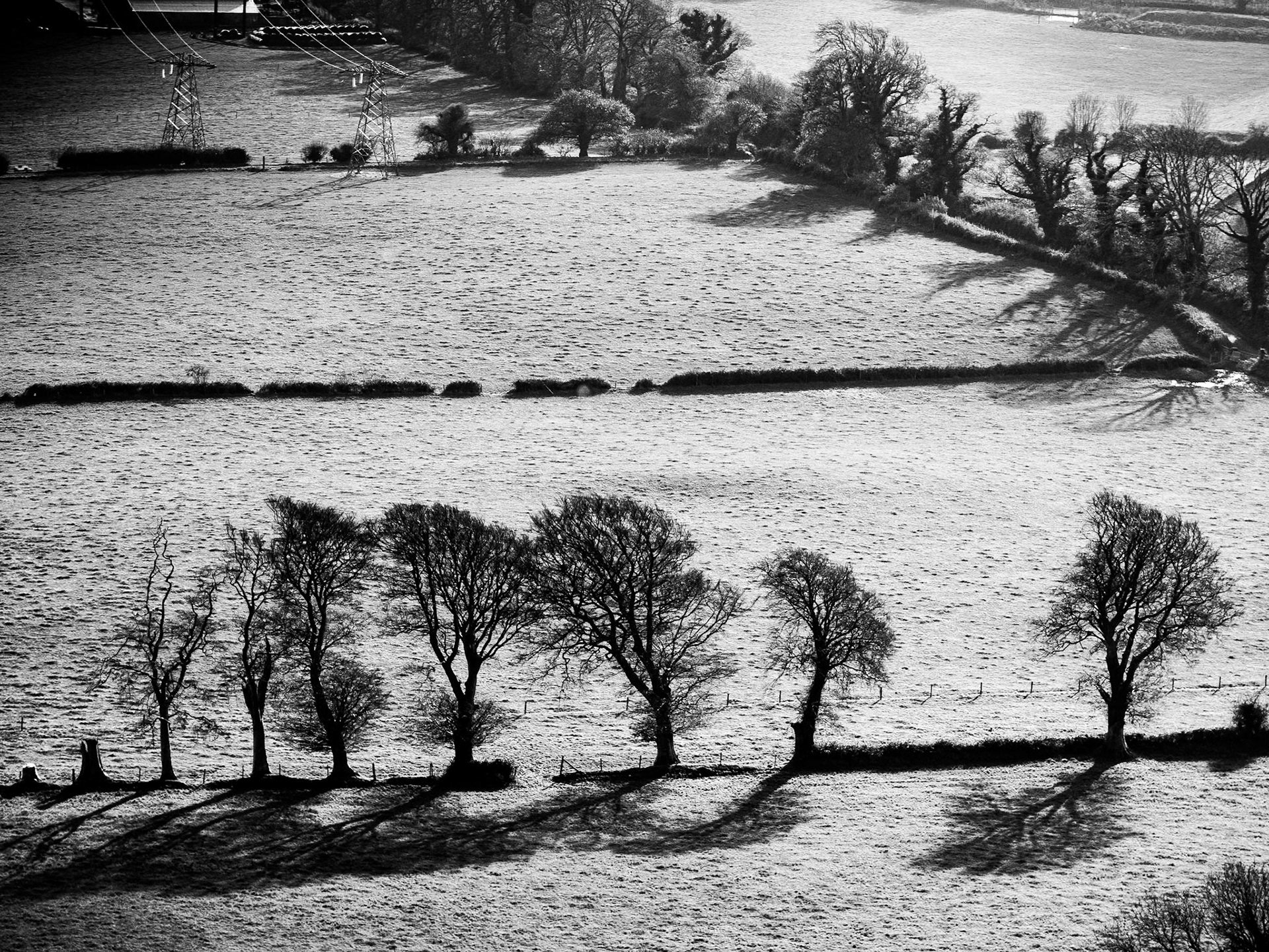Carrickgollogan, Co Dublin, 28 Nov 2014