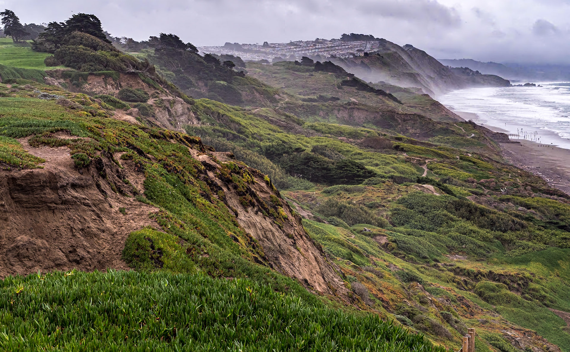 Fort Funston, San Francisco, 20 Jan 2024